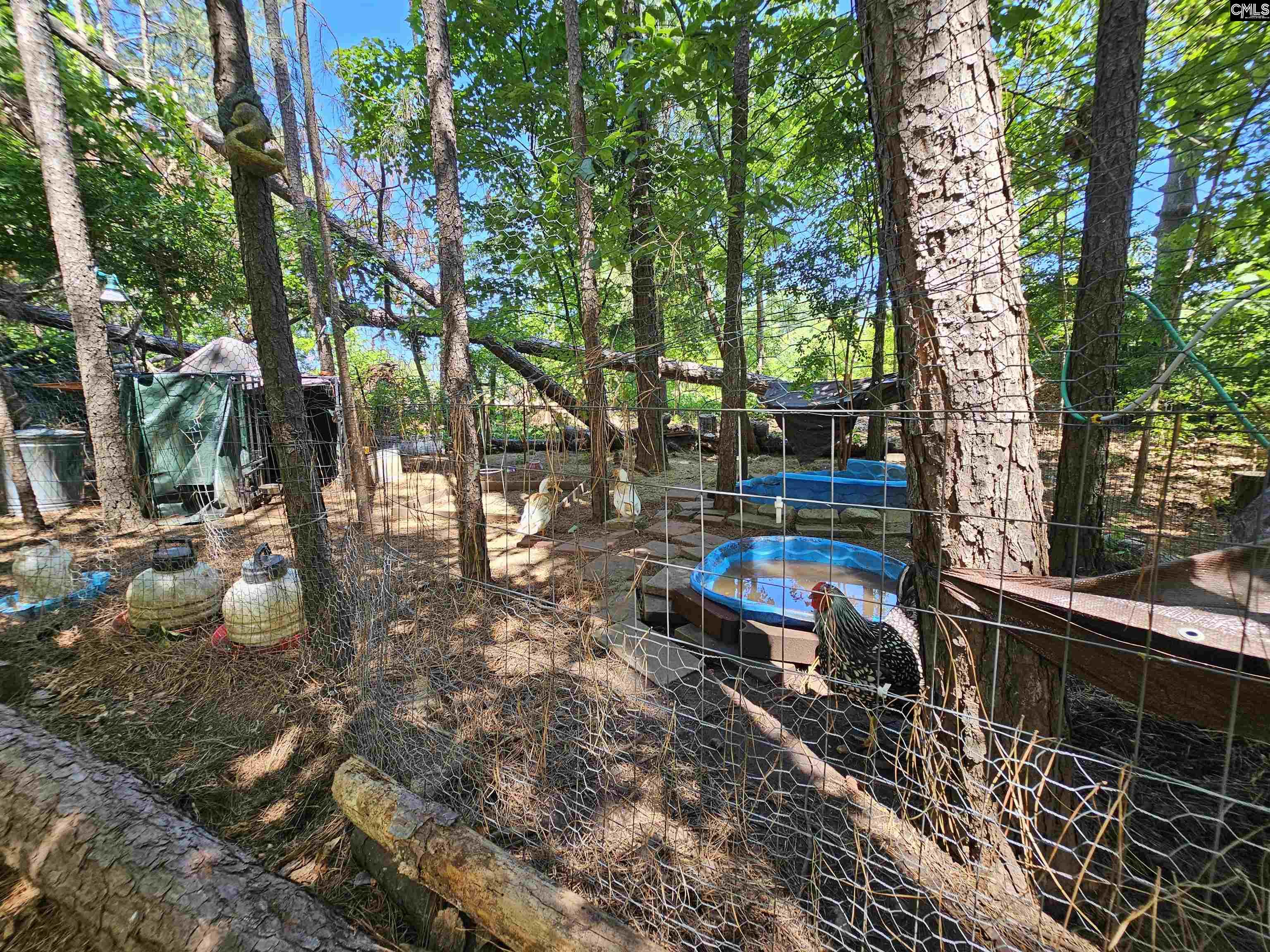 1456 Nursery Road, Little Mountain, South Carolina image 42