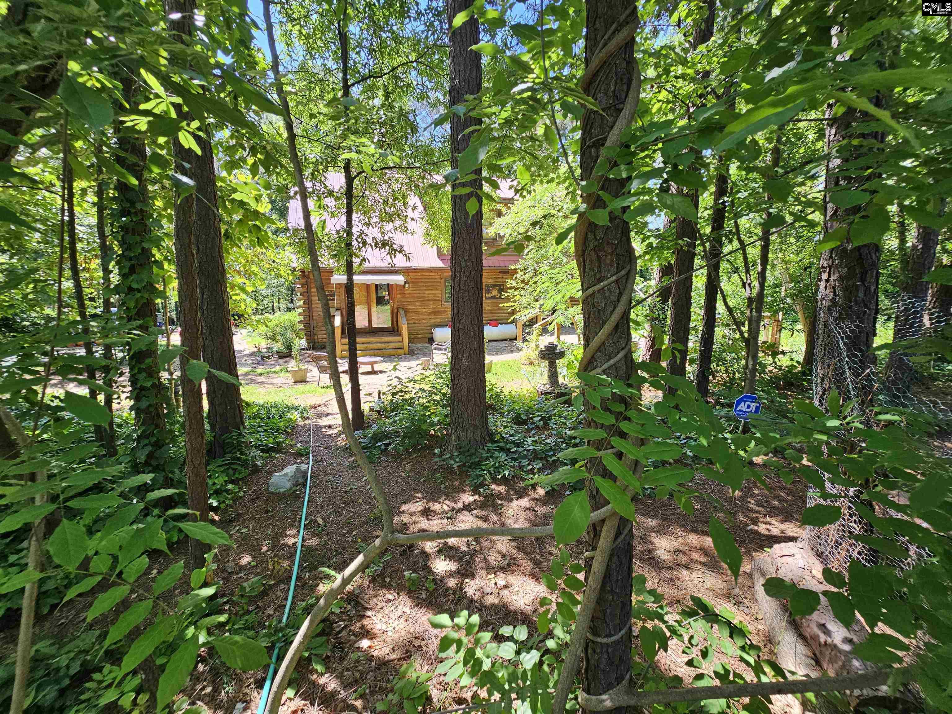 1456 Nursery Road, Little Mountain, South Carolina image 44