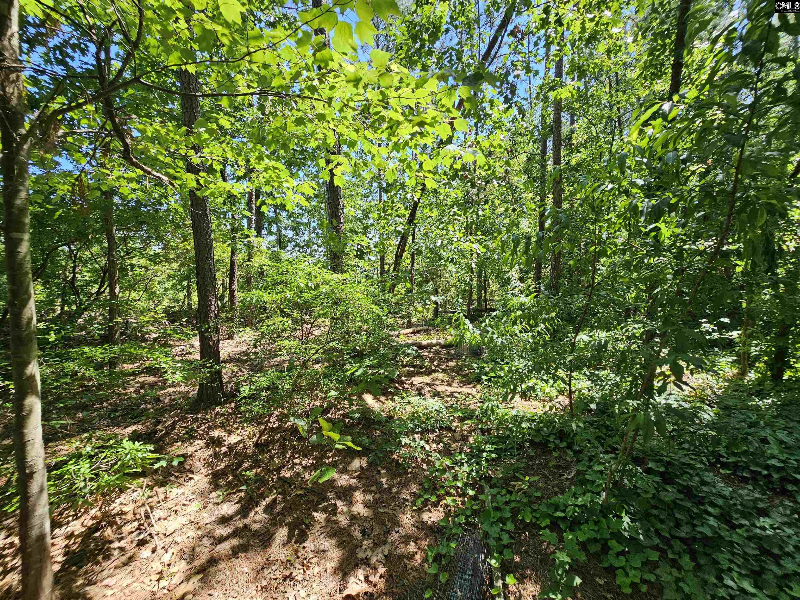 1456 Nursery Road, Little Mountain, South Carolina image 45