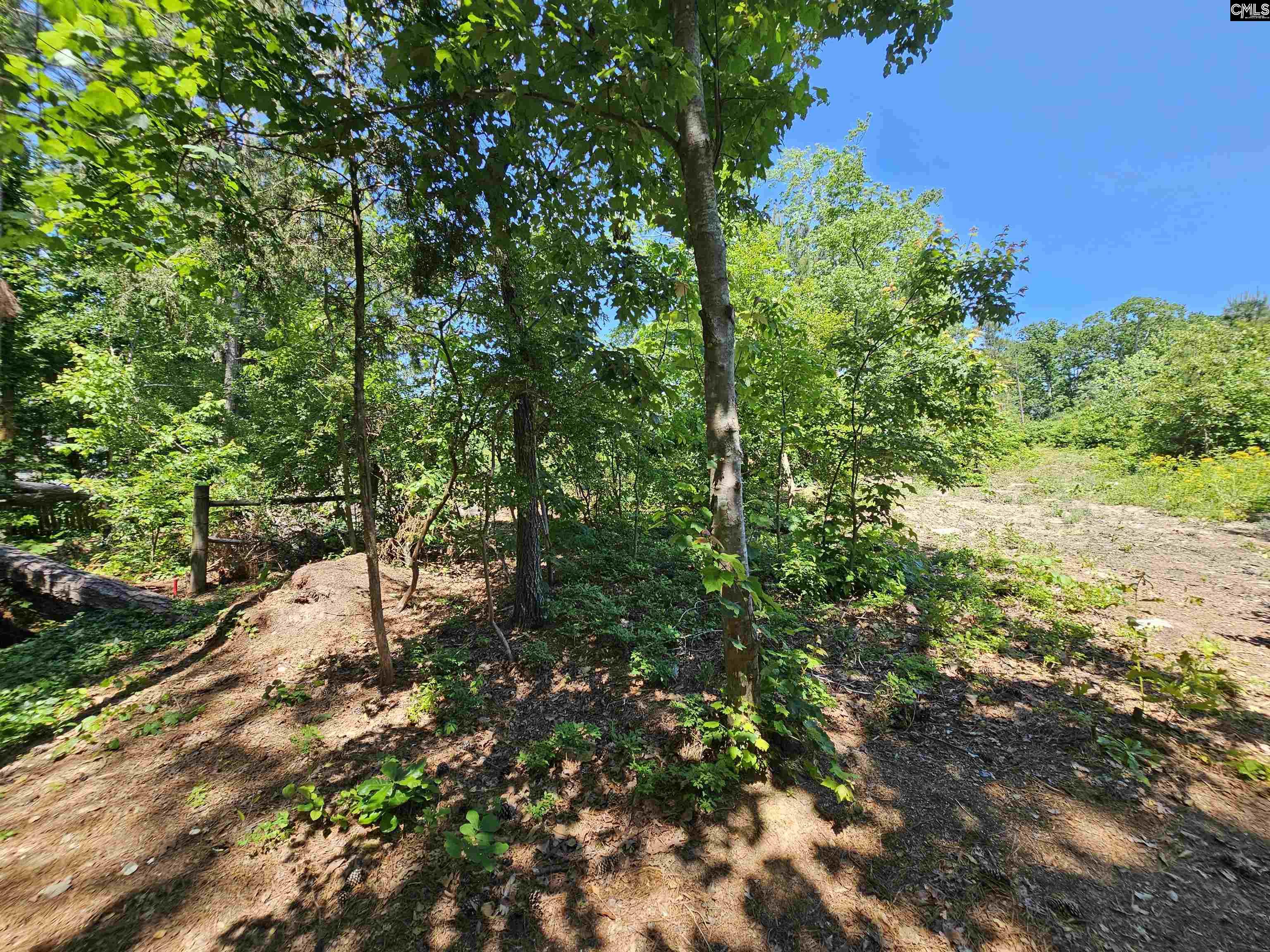 1456 Nursery Road, Little Mountain, South Carolina image 46