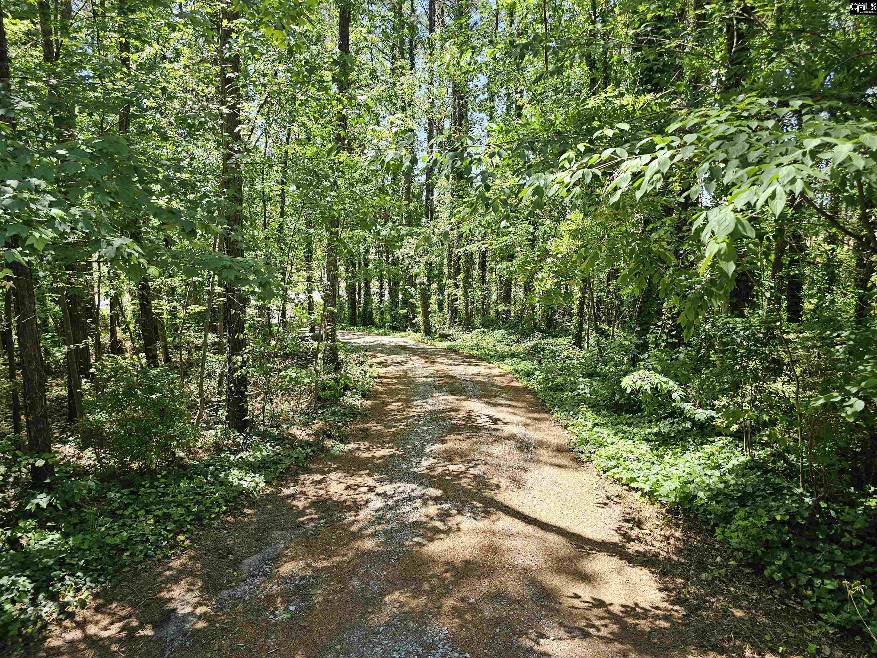 1456 Nursery Road, Little Mountain, South Carolina image 49