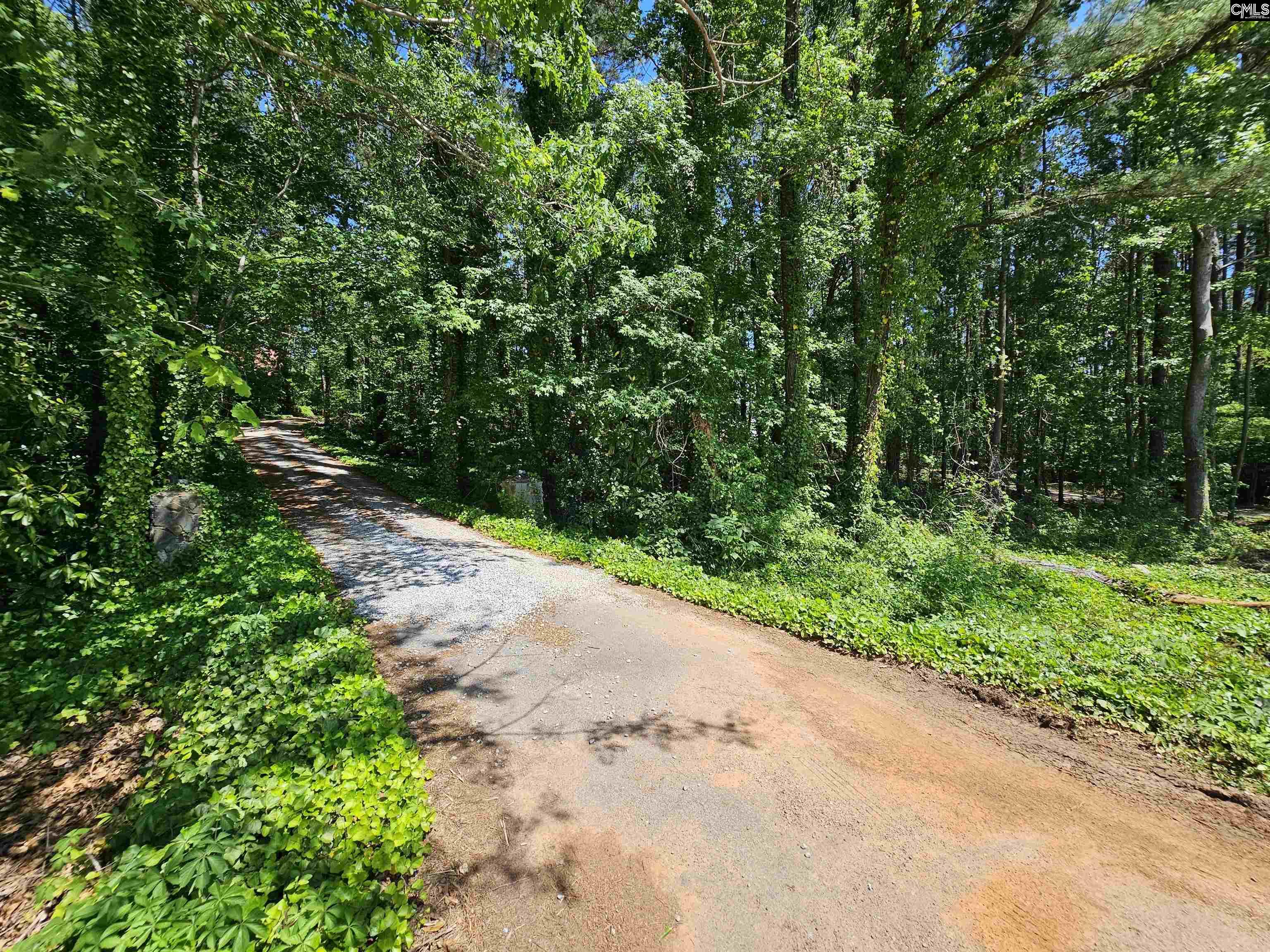 1456 Nursery Road, Little Mountain, South Carolina image 50