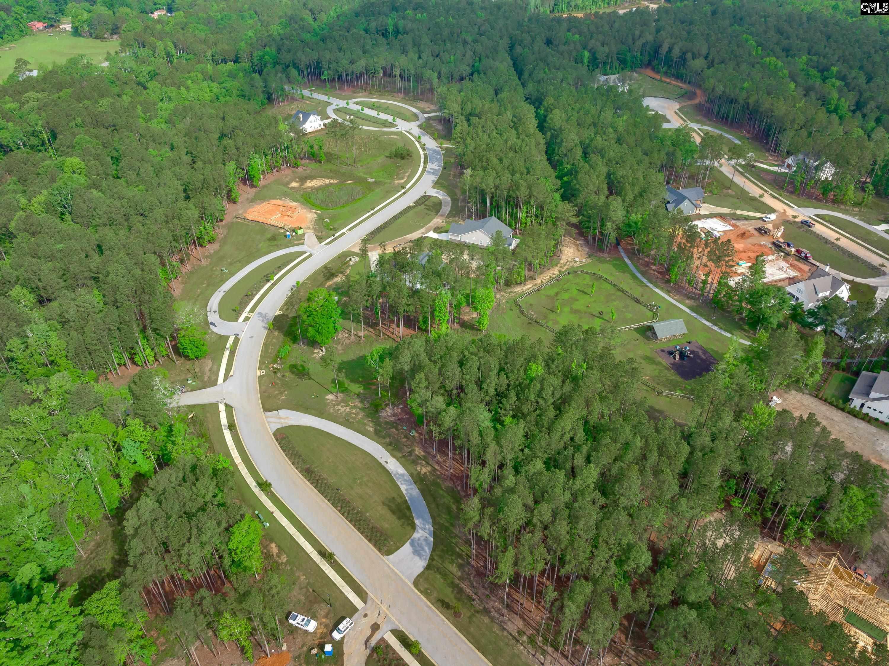 341 Stewart Landing Drive, Prosperity, South Carolina image 13