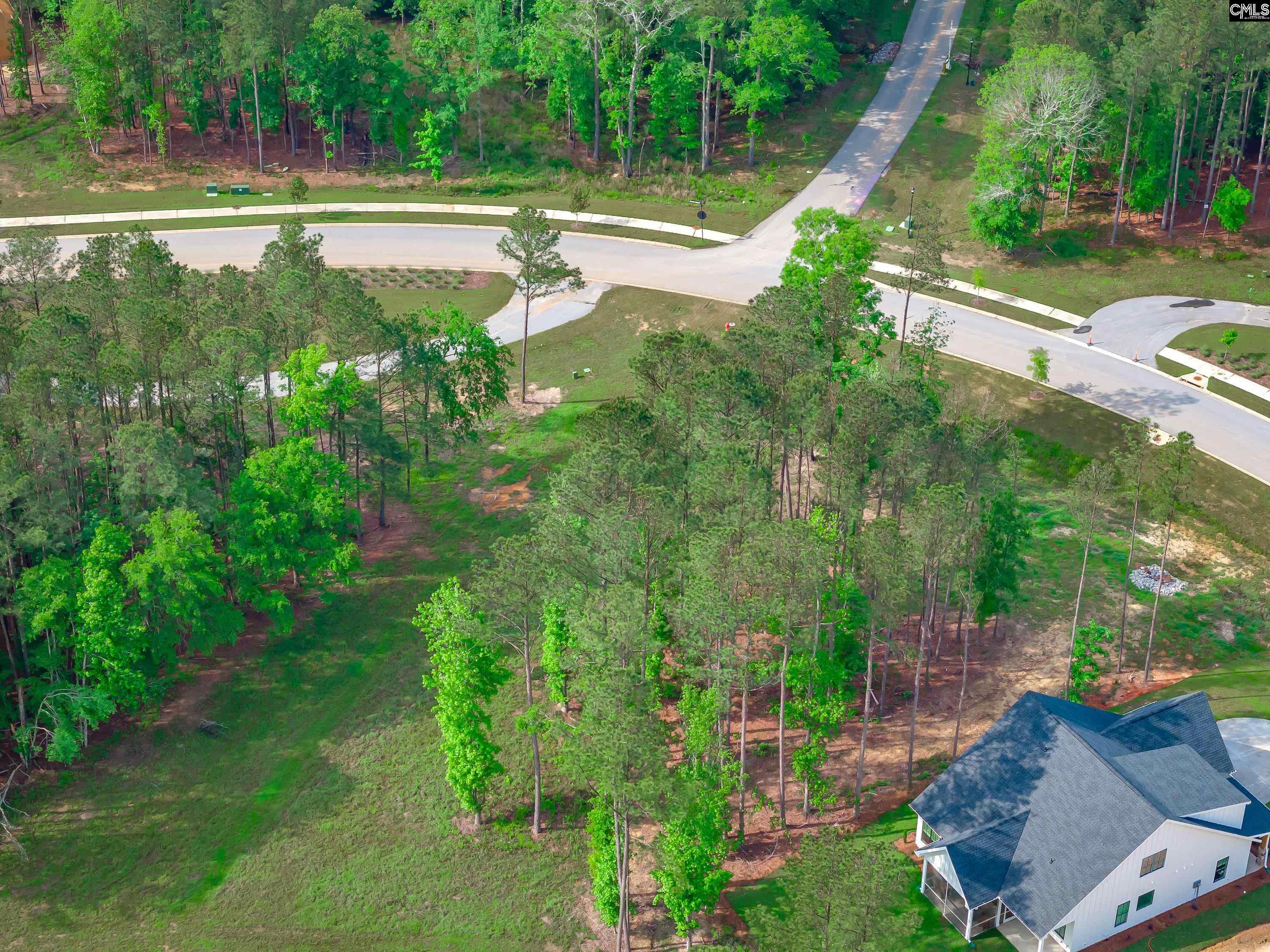 341 Stewart Landing Drive, Prosperity, South Carolina image 14