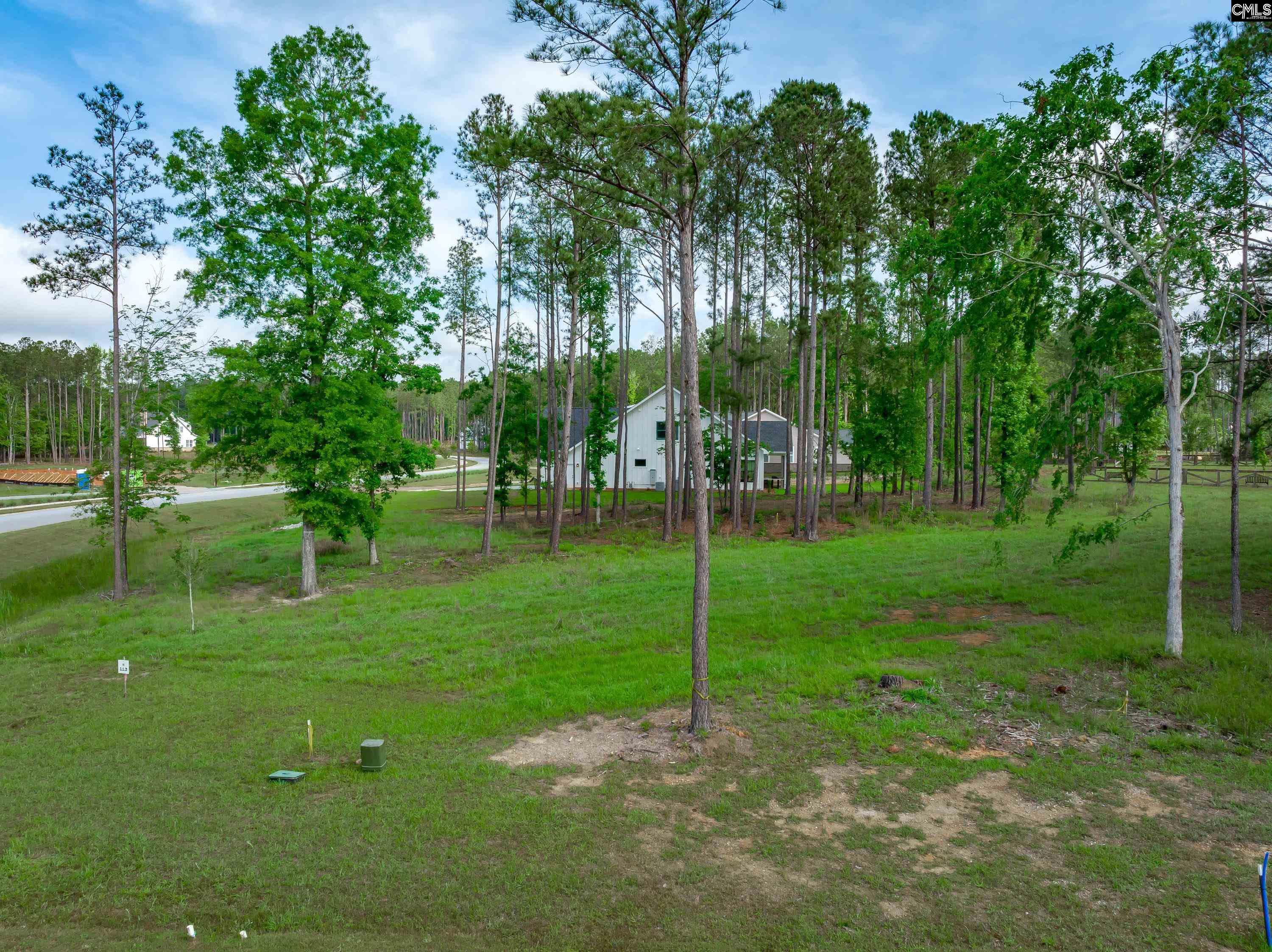 341 Stewart Landing Drive, Prosperity, South Carolina image 17