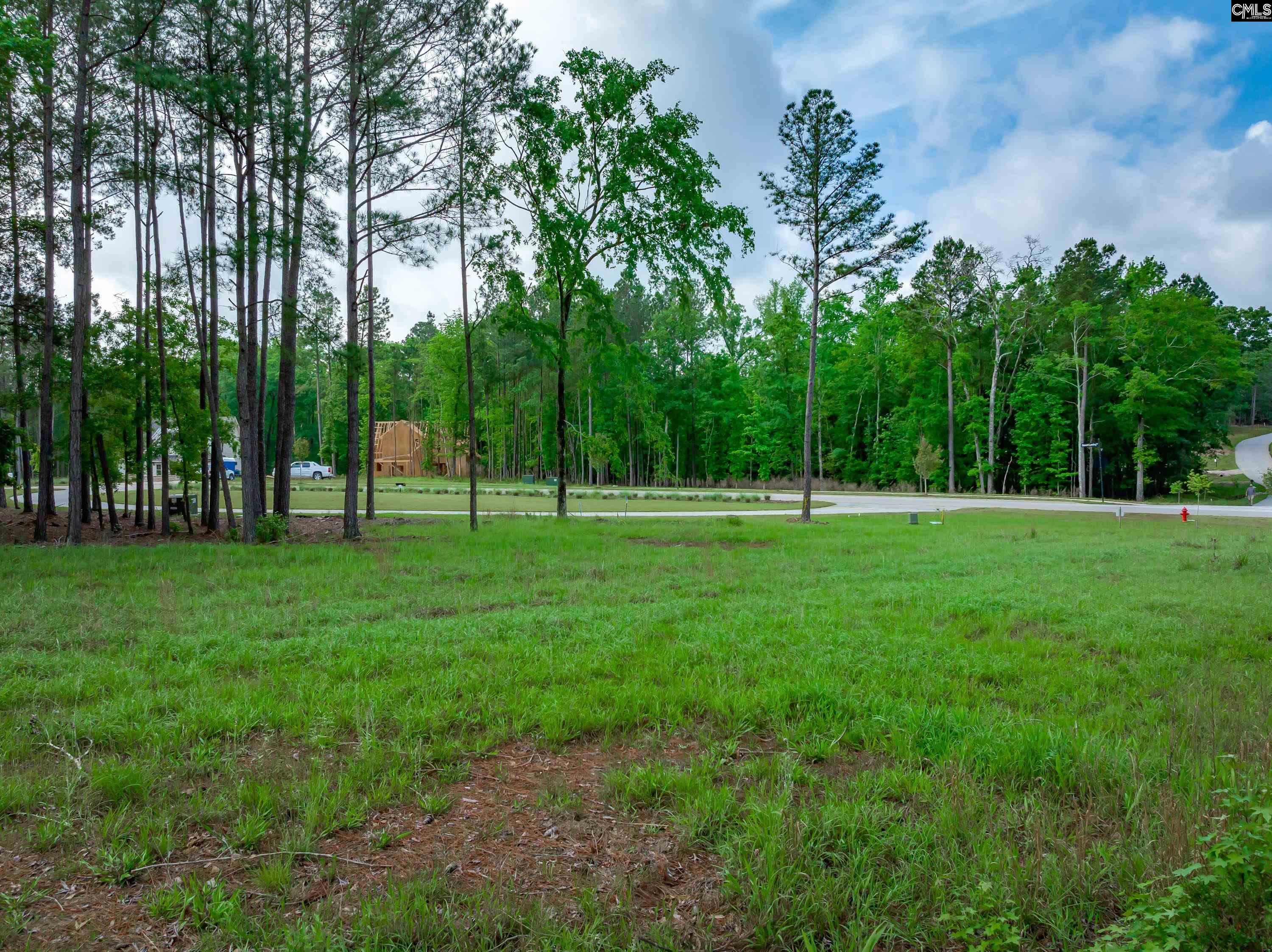 341 Stewart Landing Drive, Prosperity, South Carolina image 18