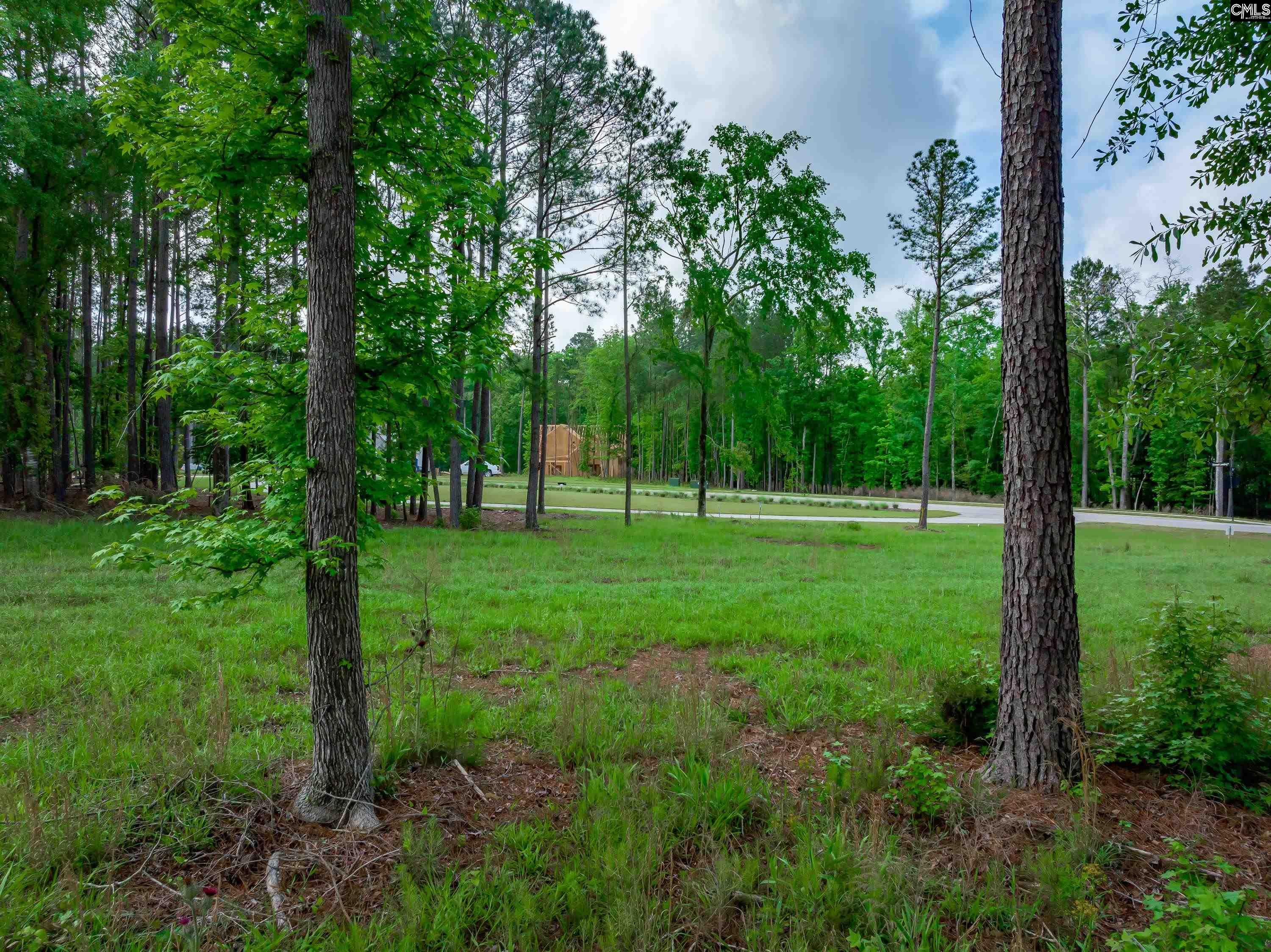 341 Stewart Landing Drive, Prosperity, South Carolina image 19