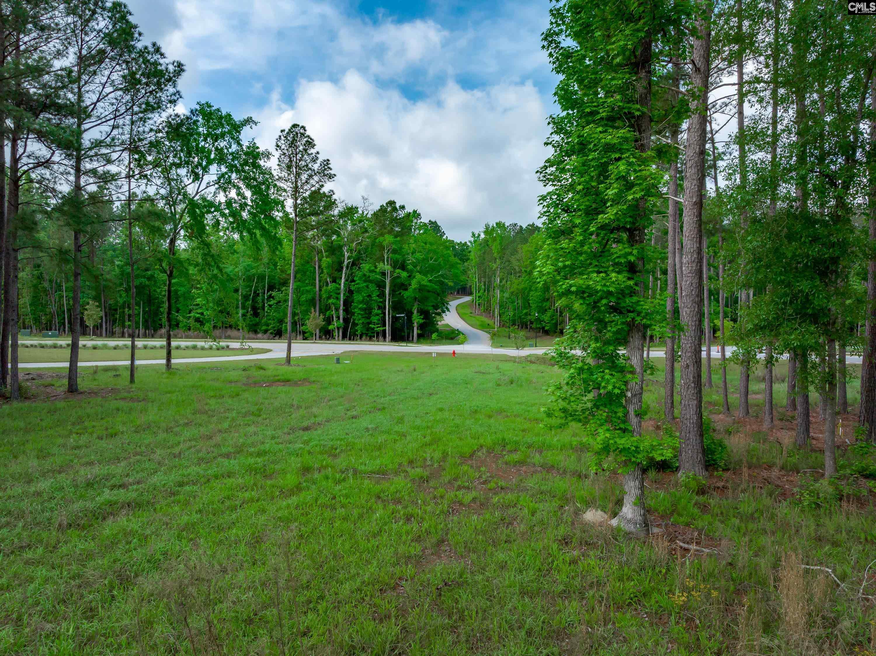 341 Stewart Landing Drive, Prosperity, South Carolina image 20