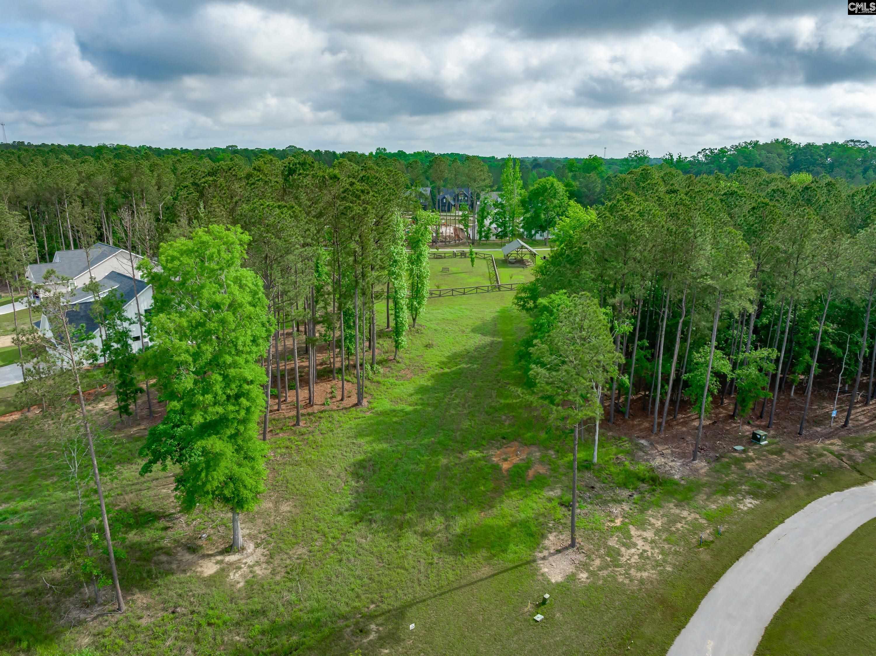 341 Stewart Landing Drive, Prosperity, South Carolina image 4