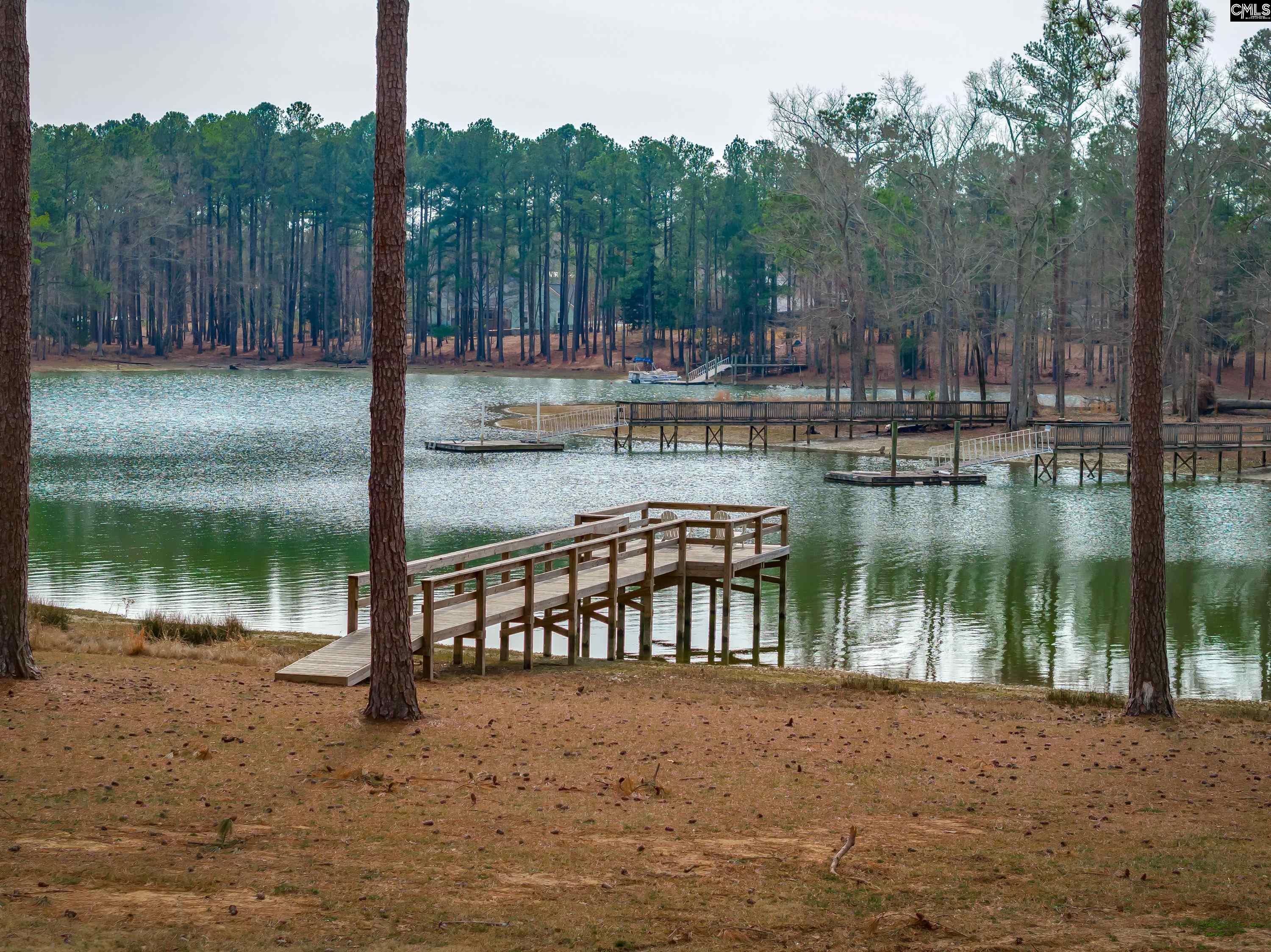 341 Stewart Landing Drive, Prosperity, South Carolina image 37