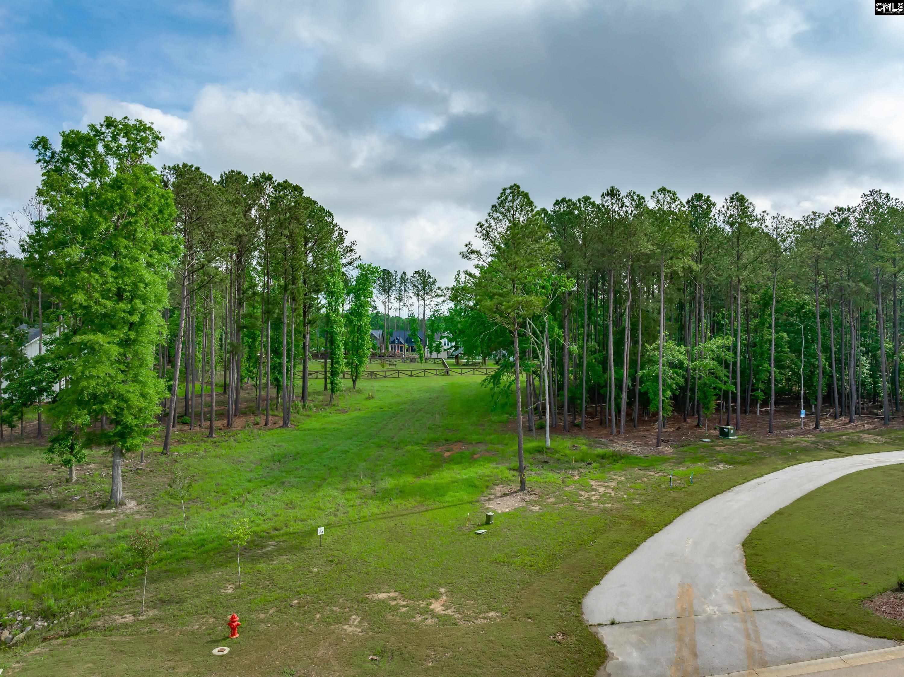 341 Stewart Landing Drive, Prosperity, South Carolina image 5