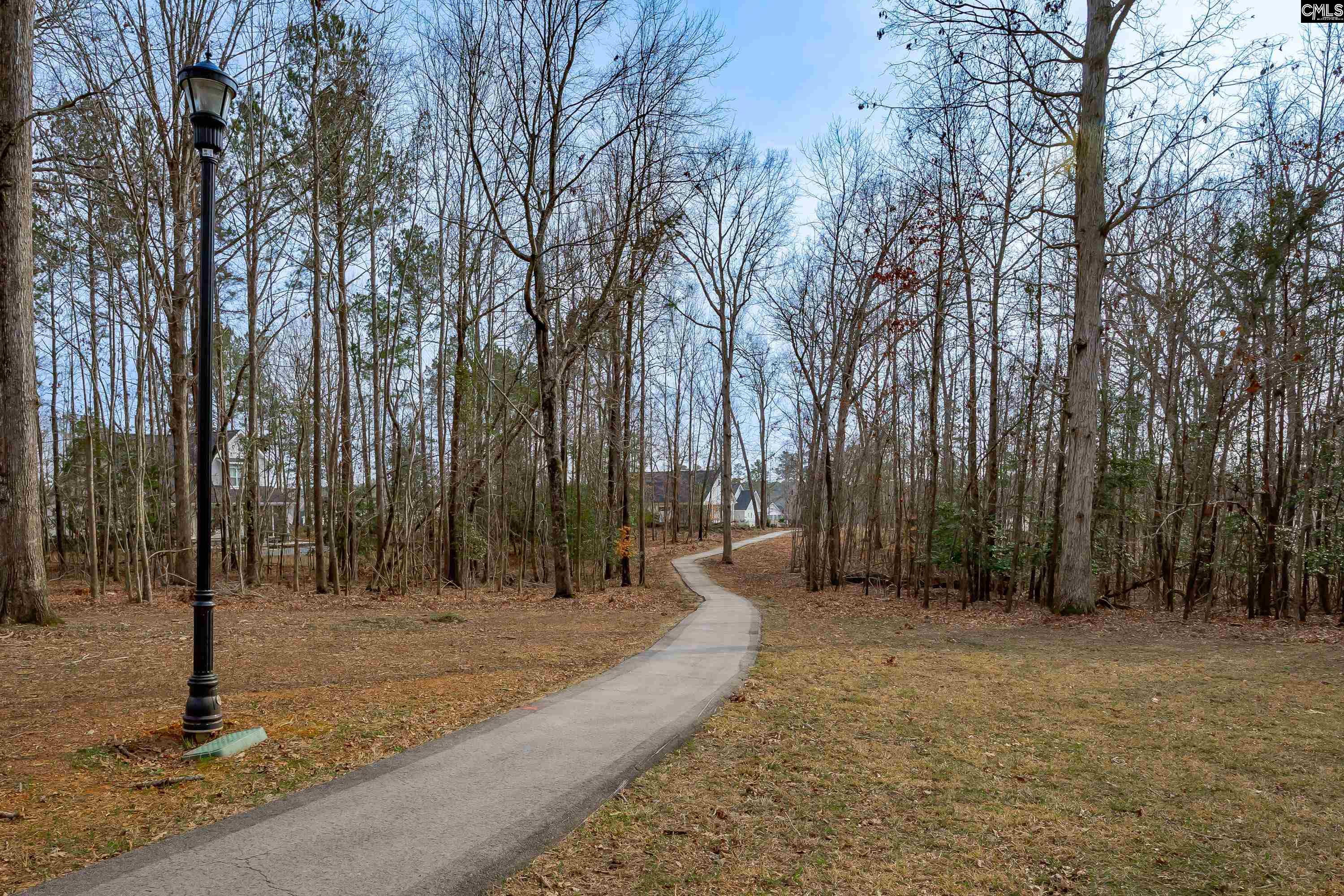 341 Stewart Landing Drive, Prosperity, South Carolina image 49