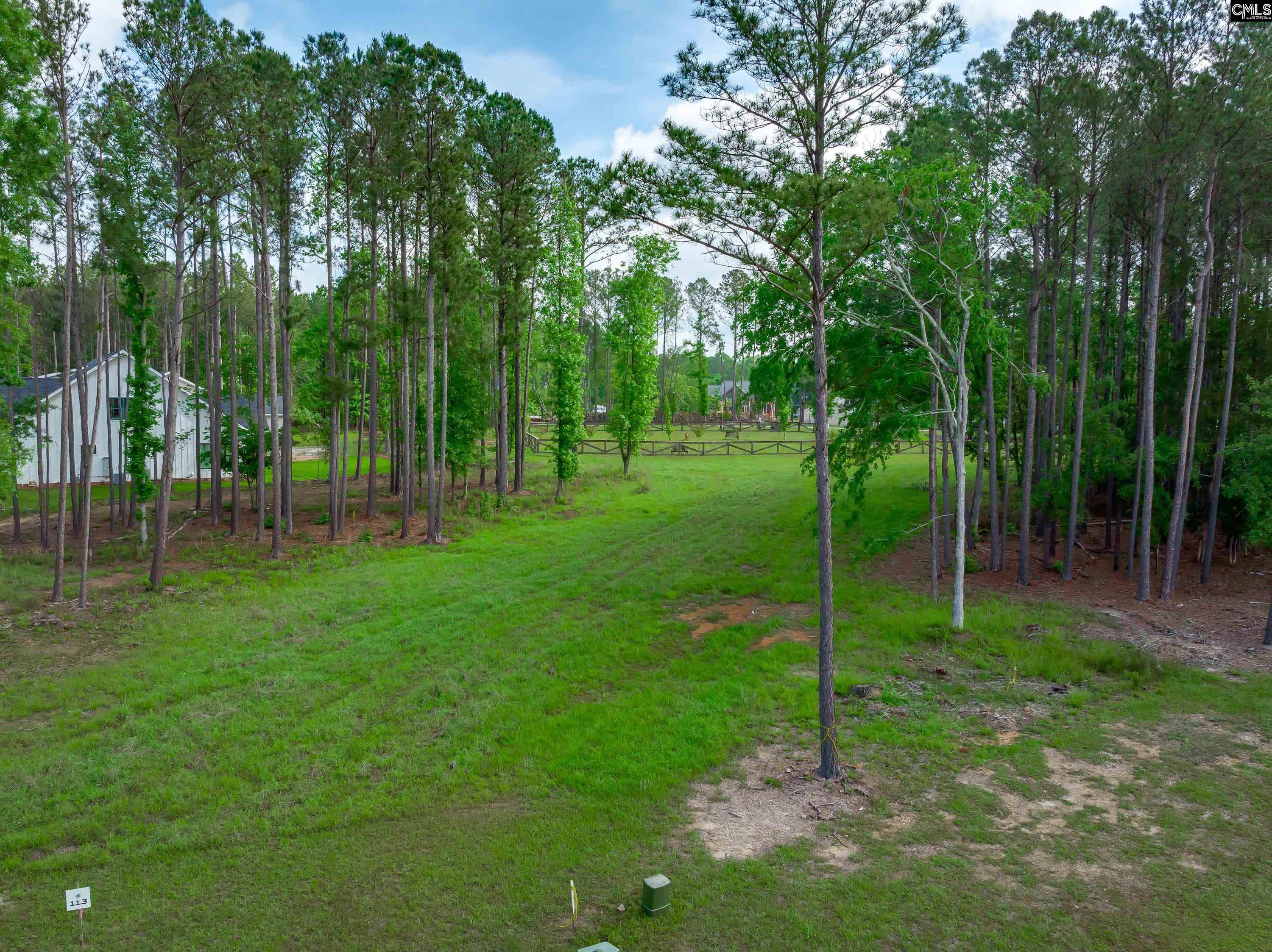 341 Stewart Landing Drive, Prosperity, South Carolina image 6