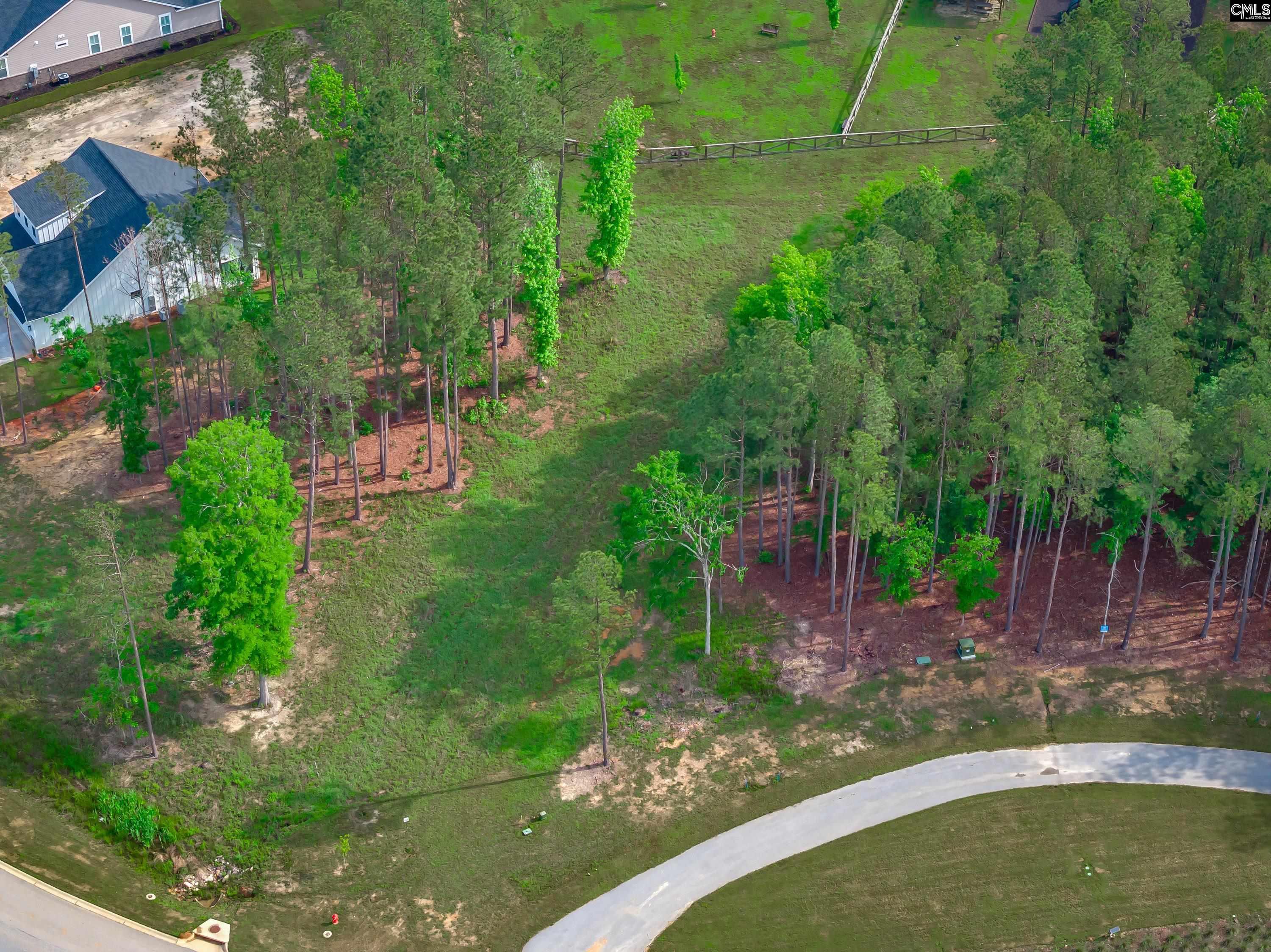 341 Stewart Landing Drive, Prosperity, South Carolina image 10