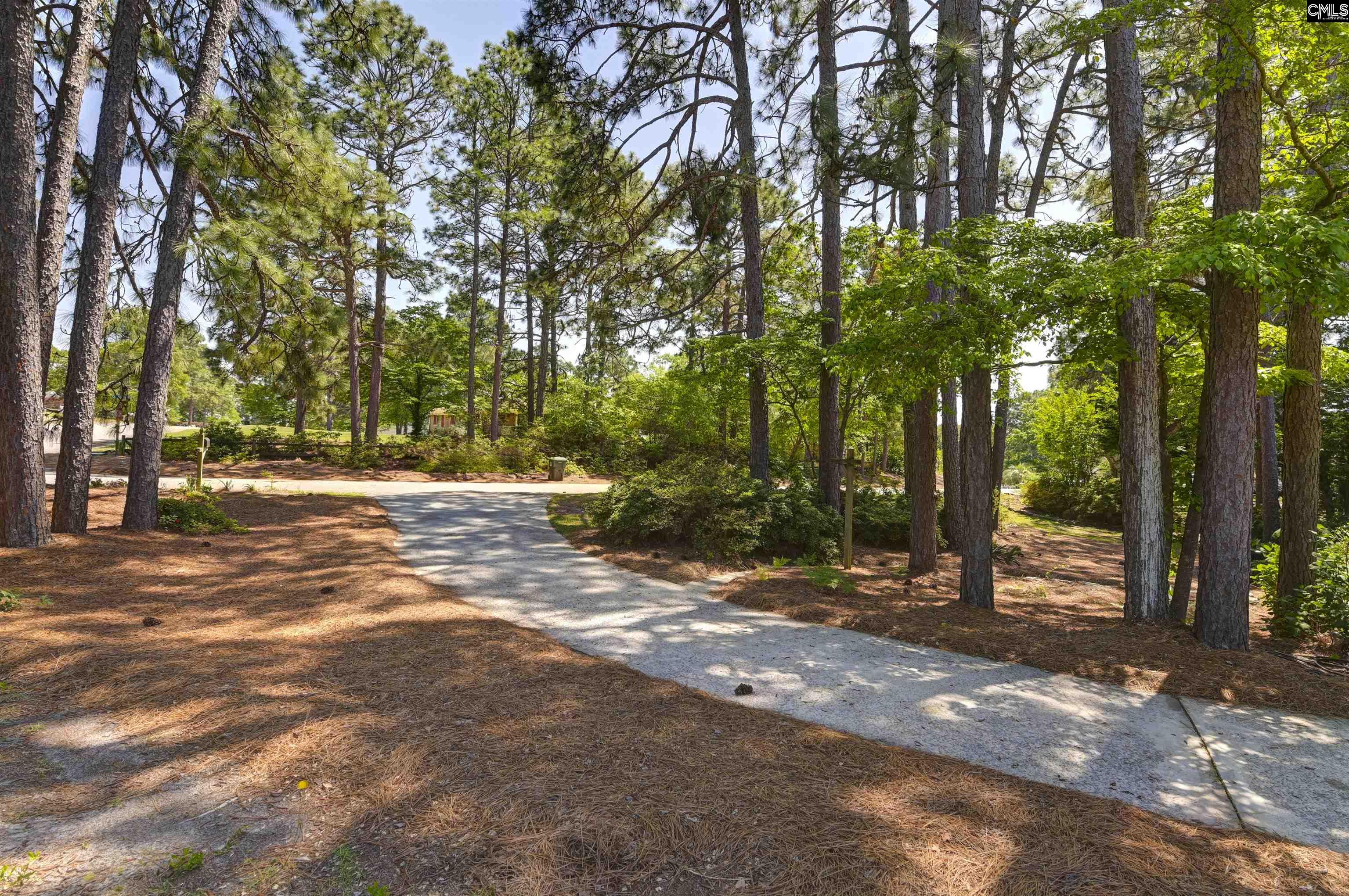102 Calcutta Drive, West Columbia, South Carolina image 39