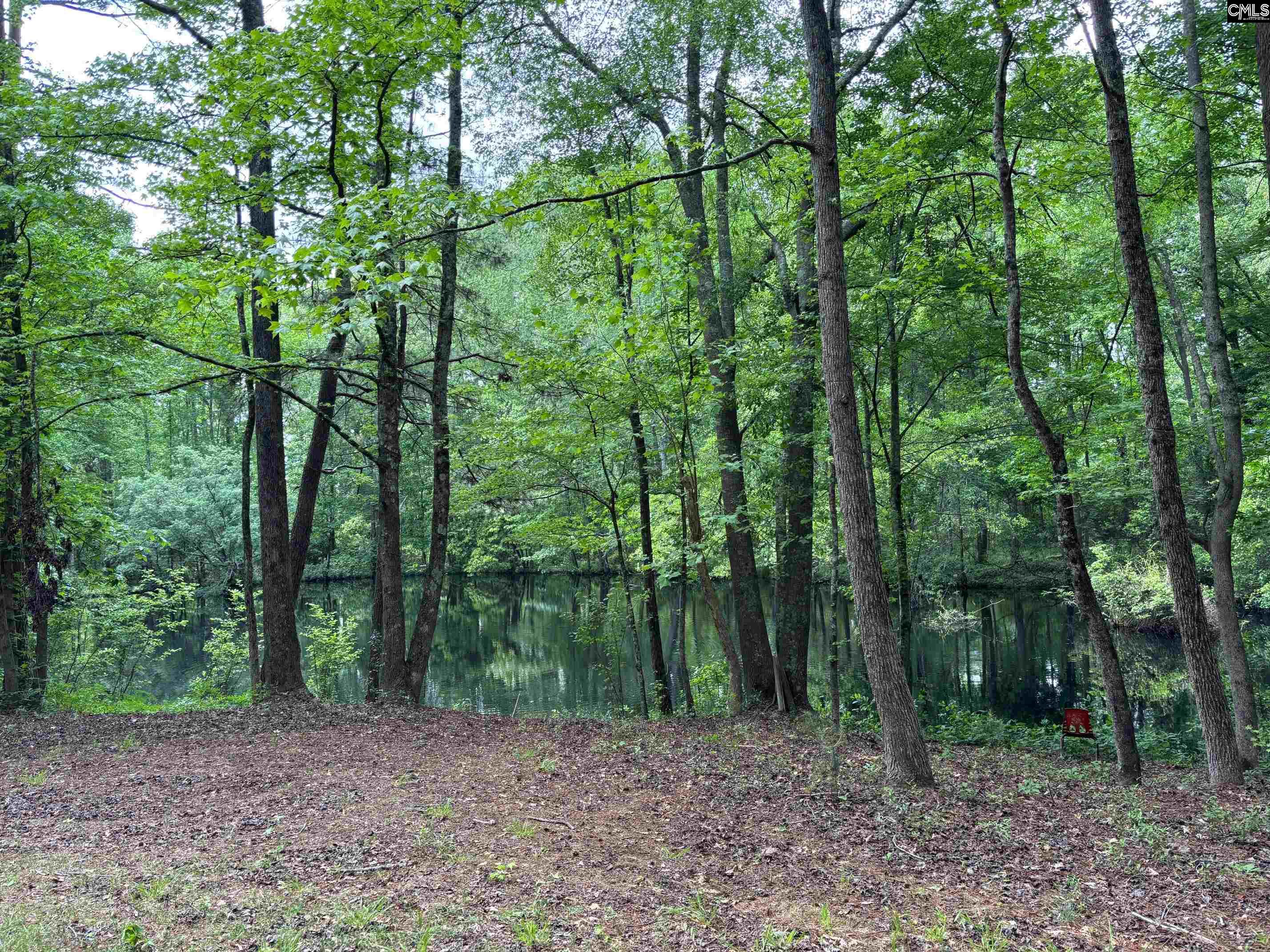 10601 Garners Ferry Road, Eastover, South Carolina image 4