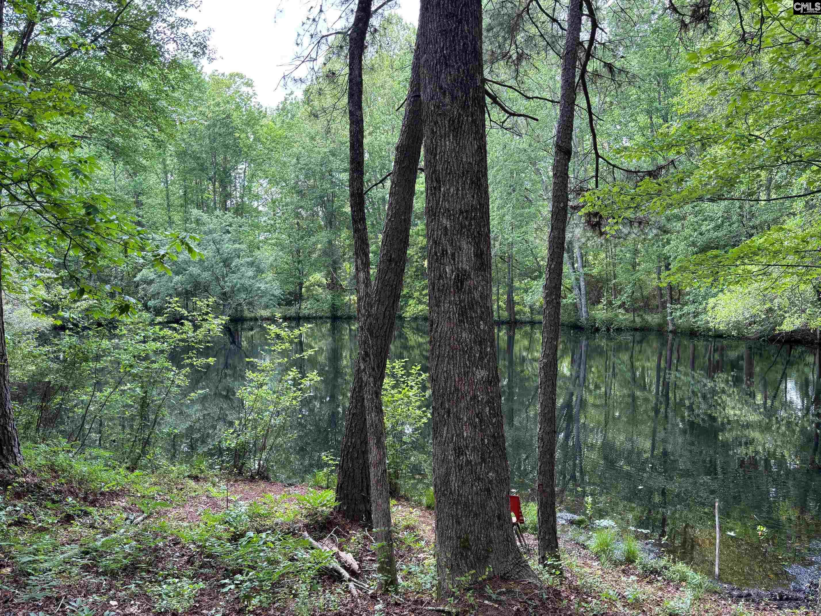 10601 Garners Ferry Road, Eastover, South Carolina image 5