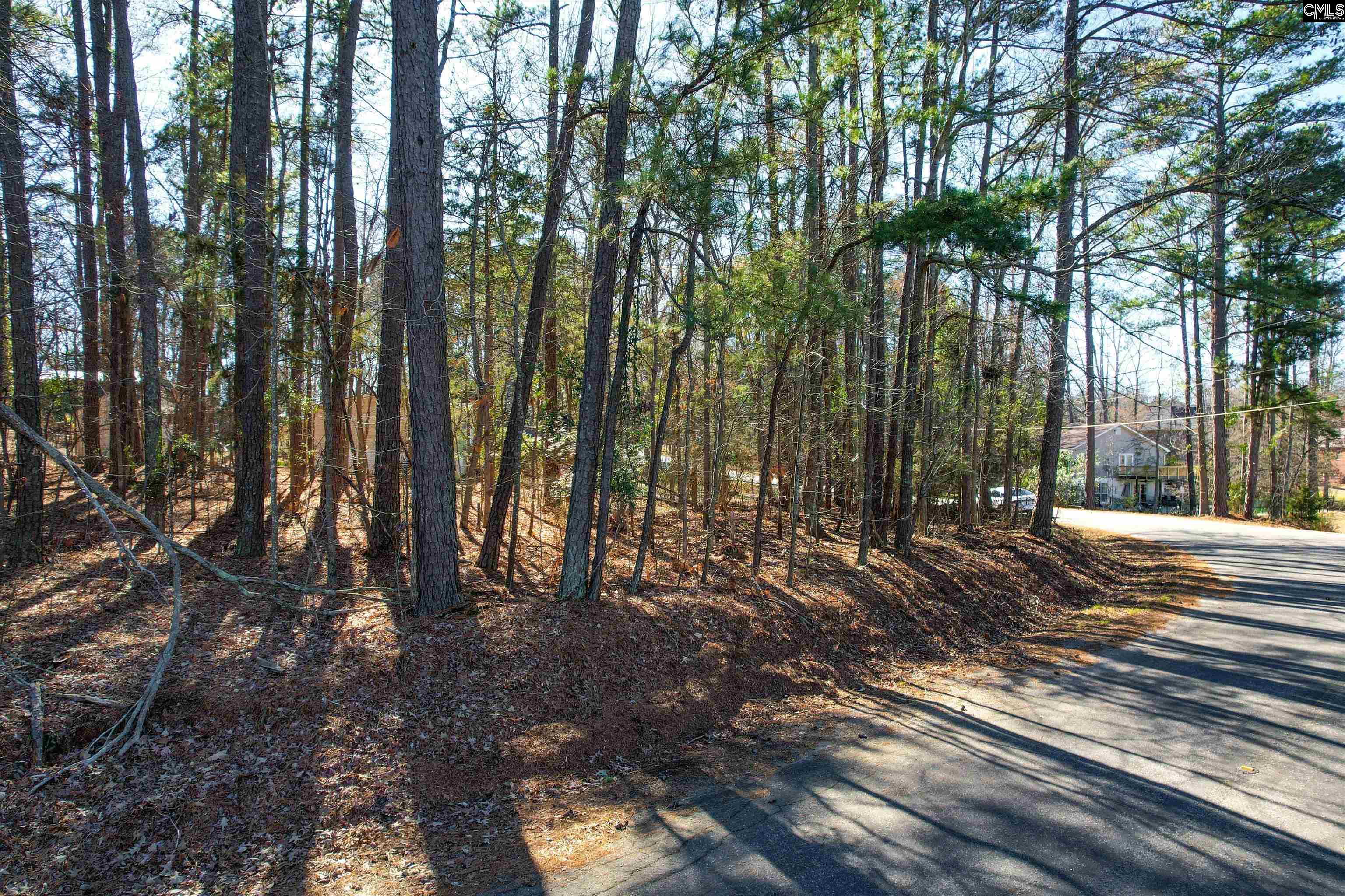 Lot 80 Green Meadow Drive, Chapin, South Carolina image 12