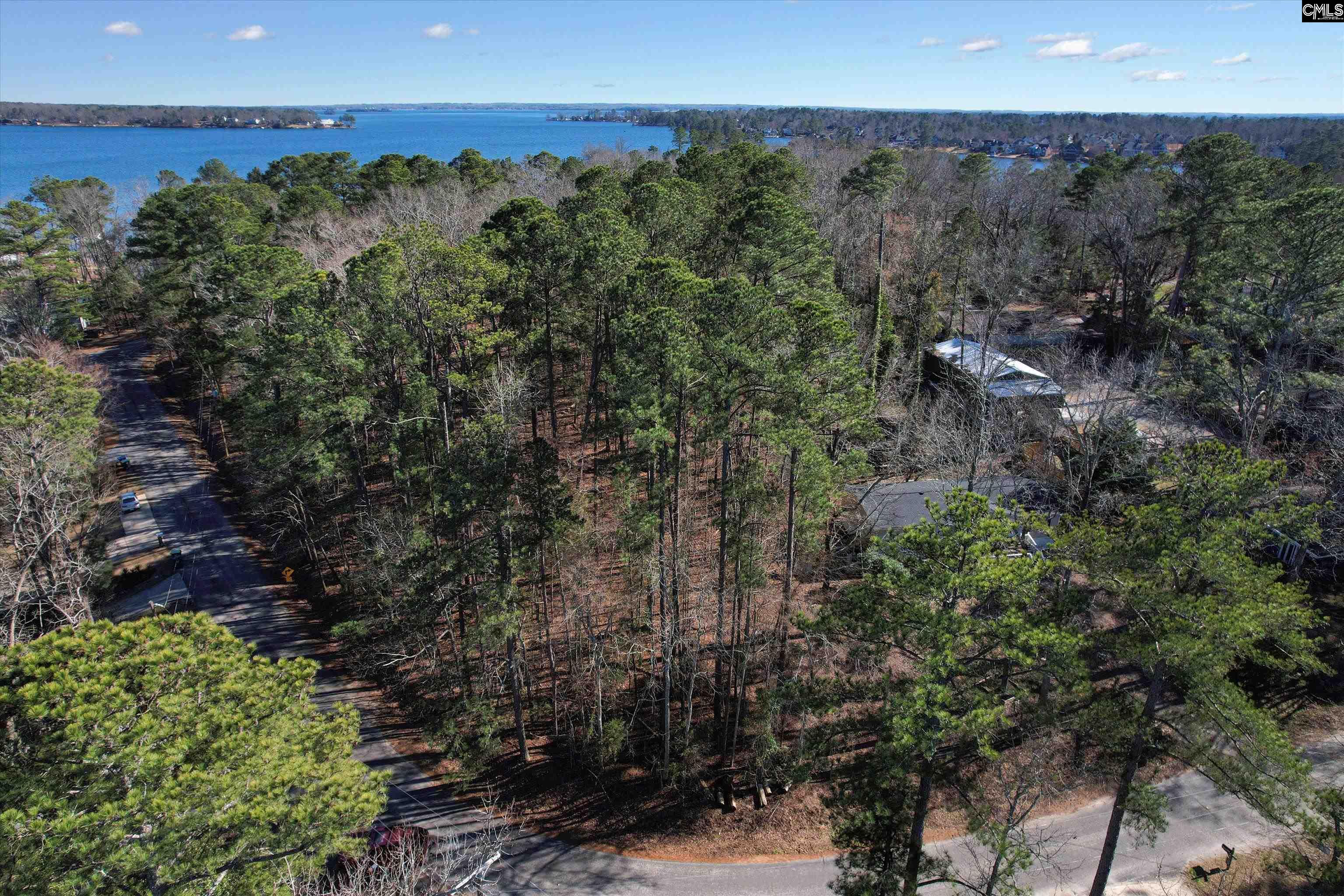 Lot 80 Green Meadow Drive, Chapin, South Carolina image 4