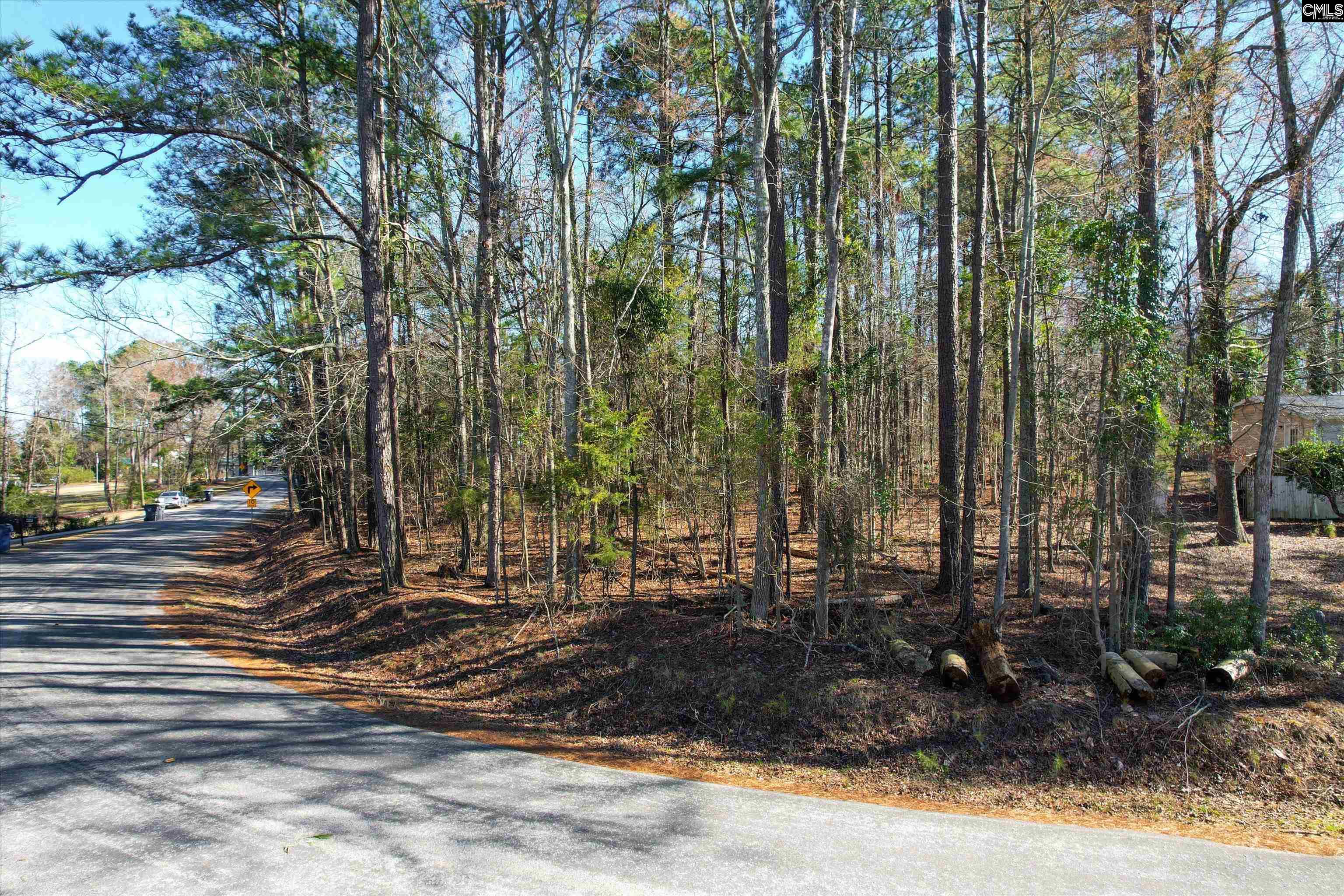 Lot 80 Green Meadow Drive, Chapin, South Carolina image 7