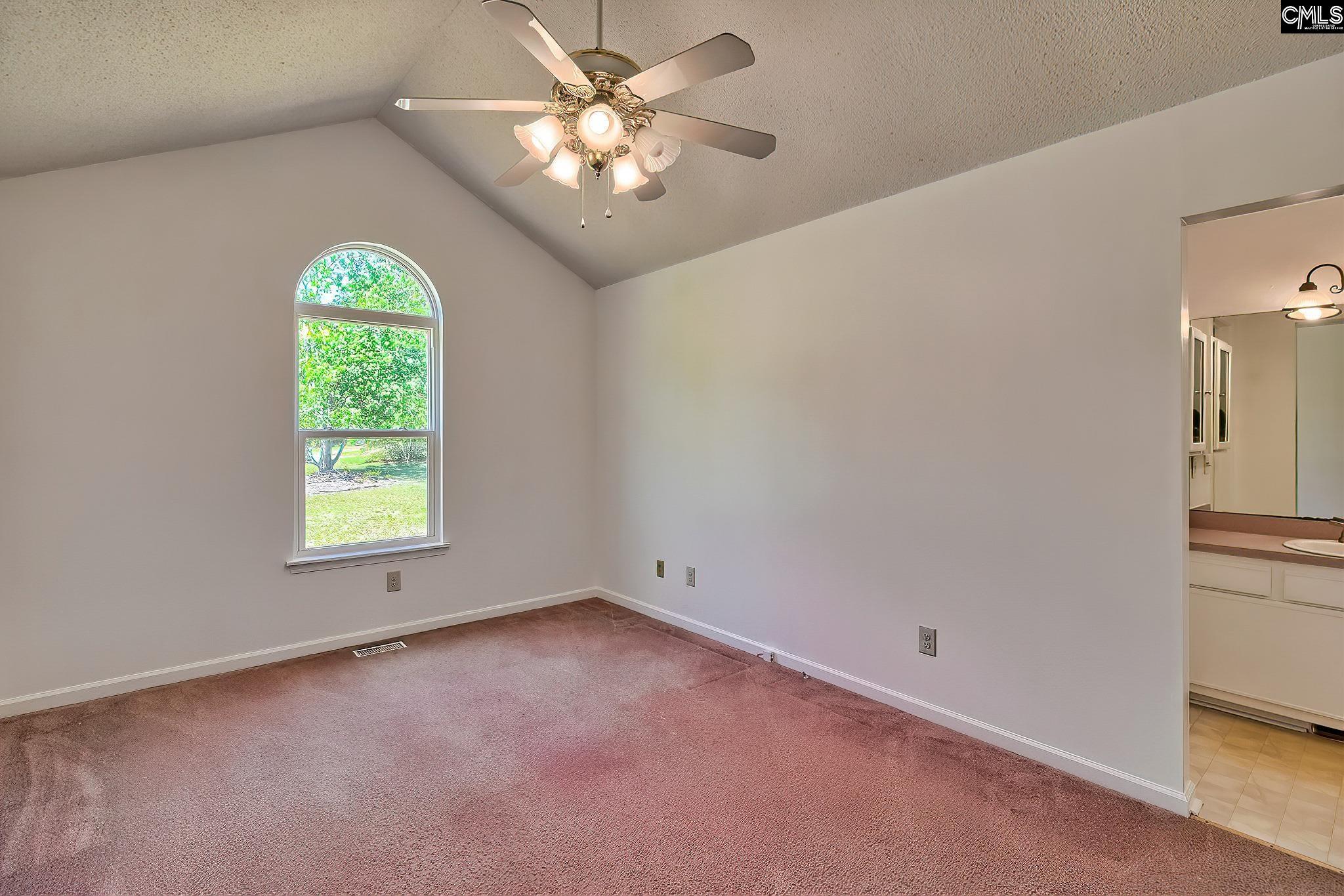 101 Summerwind Court, Pelion, South Carolina image 16