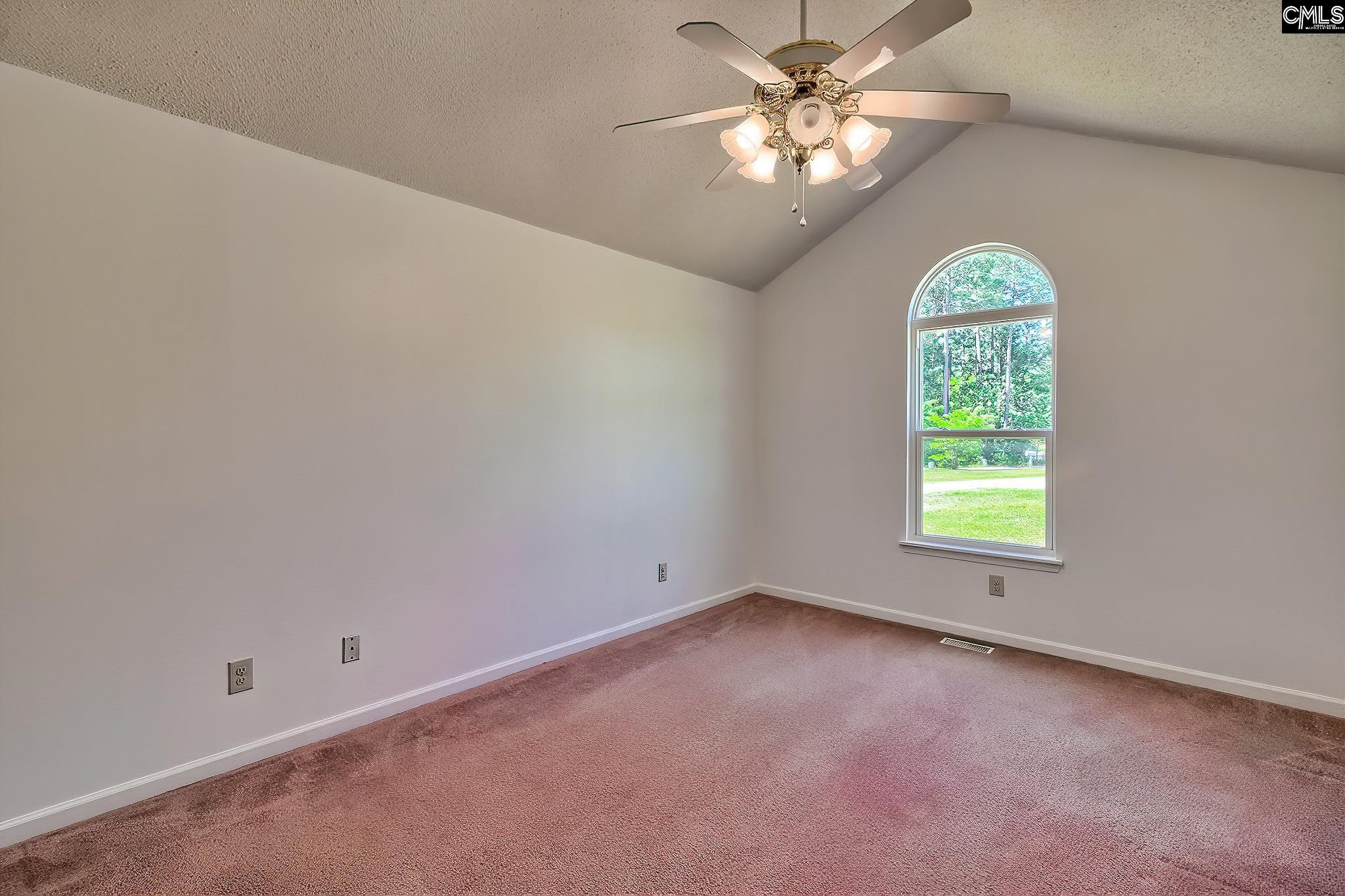 101 Summerwind Court, Pelion, South Carolina image 18