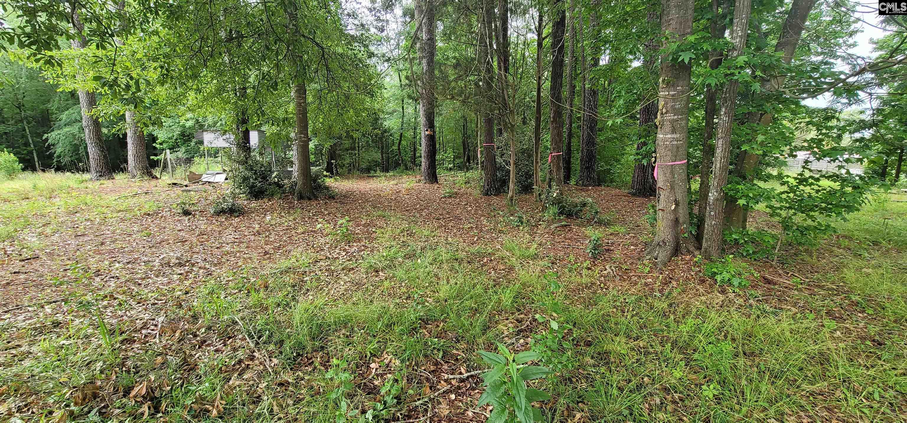 255 Ridge Road, Leesville, South Carolina image 16