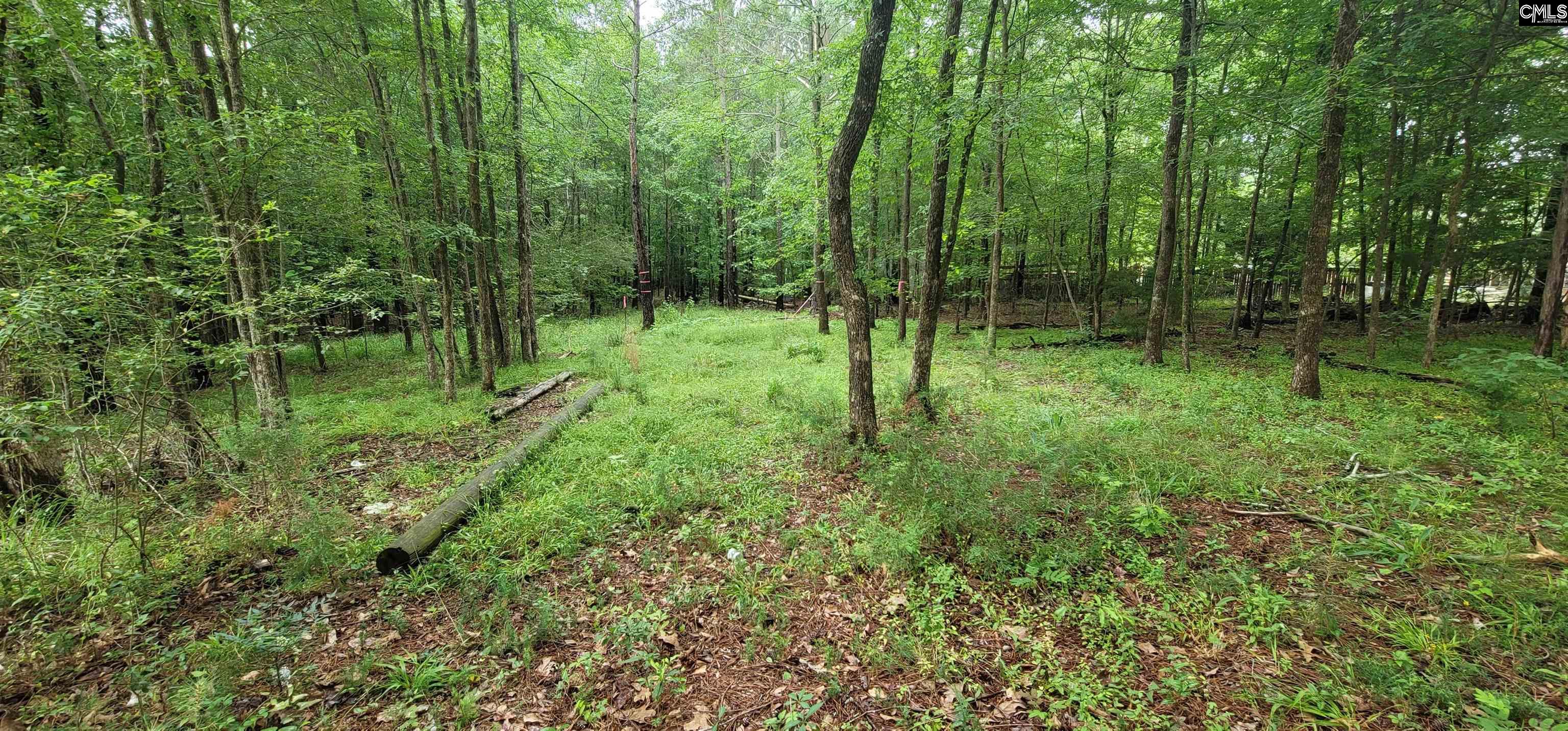 255 Ridge Road, Leesville, South Carolina image 17