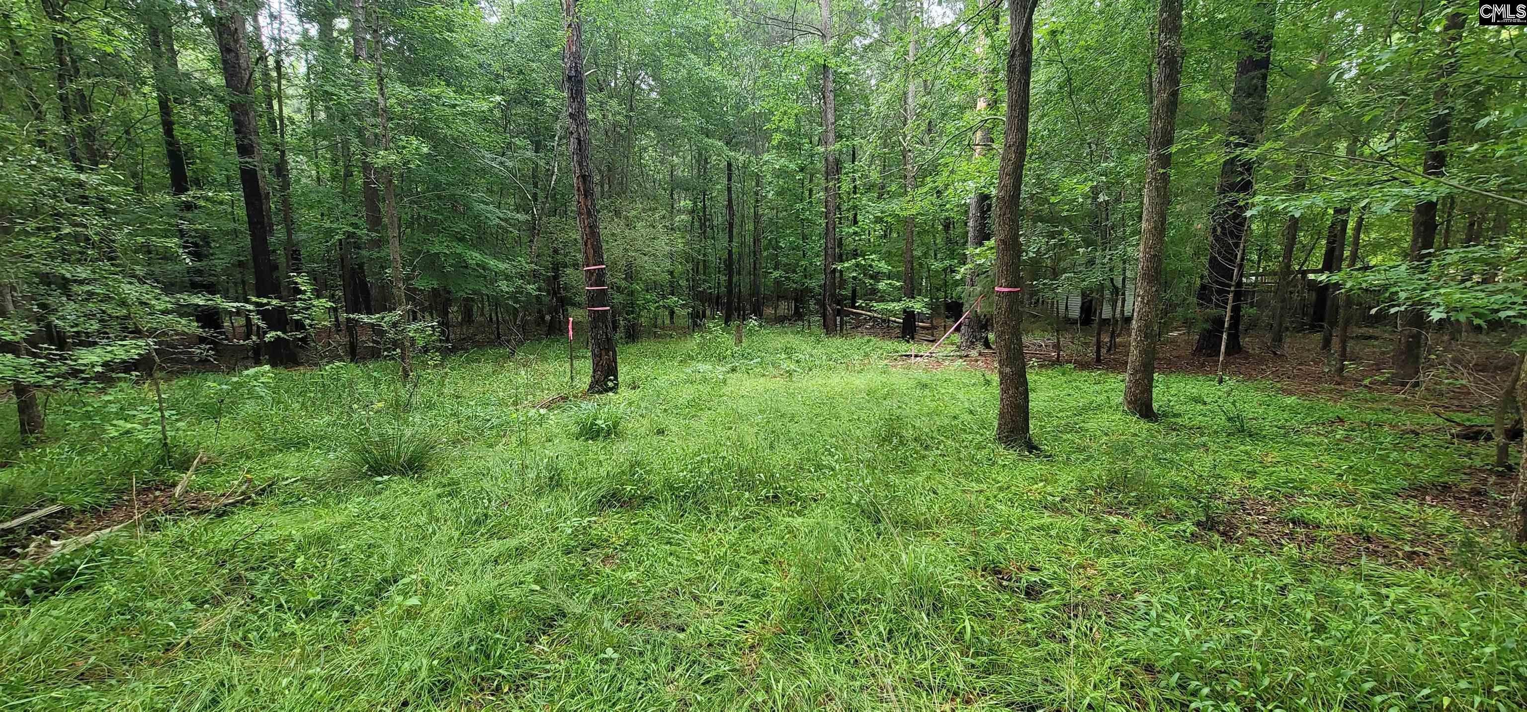 255 Ridge Road, Leesville, South Carolina image 18