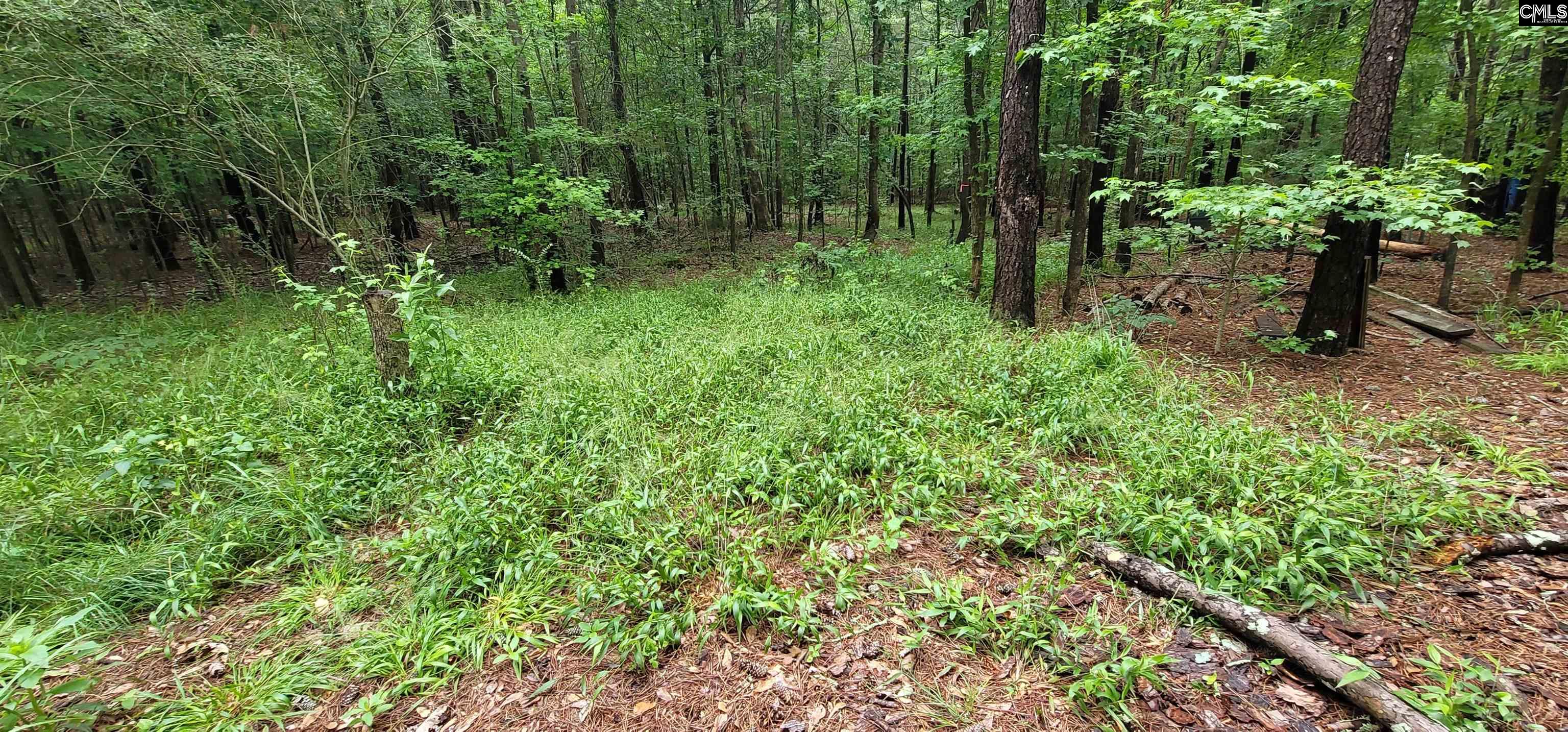 255 Ridge Road, Leesville, South Carolina image 19
