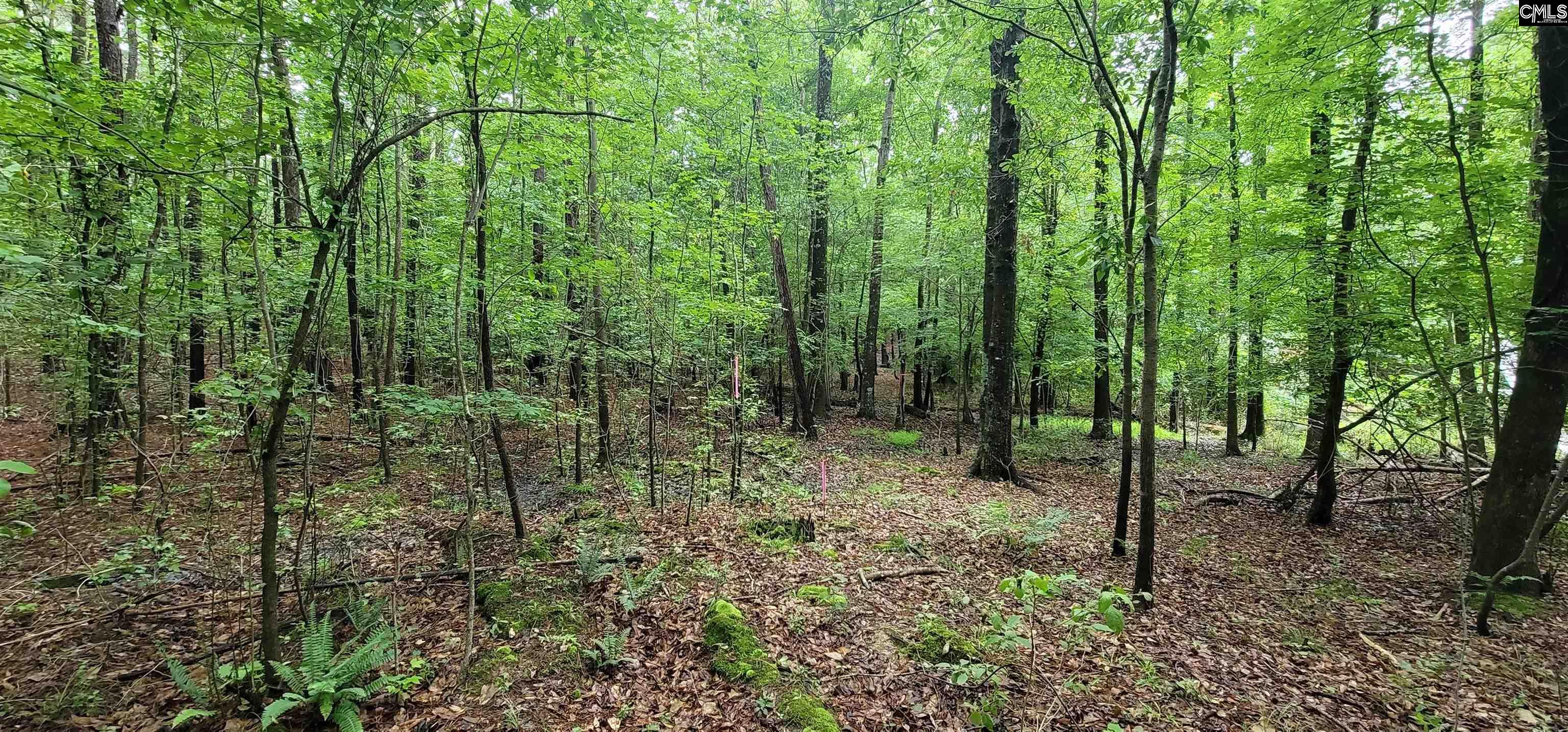 255 Ridge Road, Leesville, South Carolina image 22