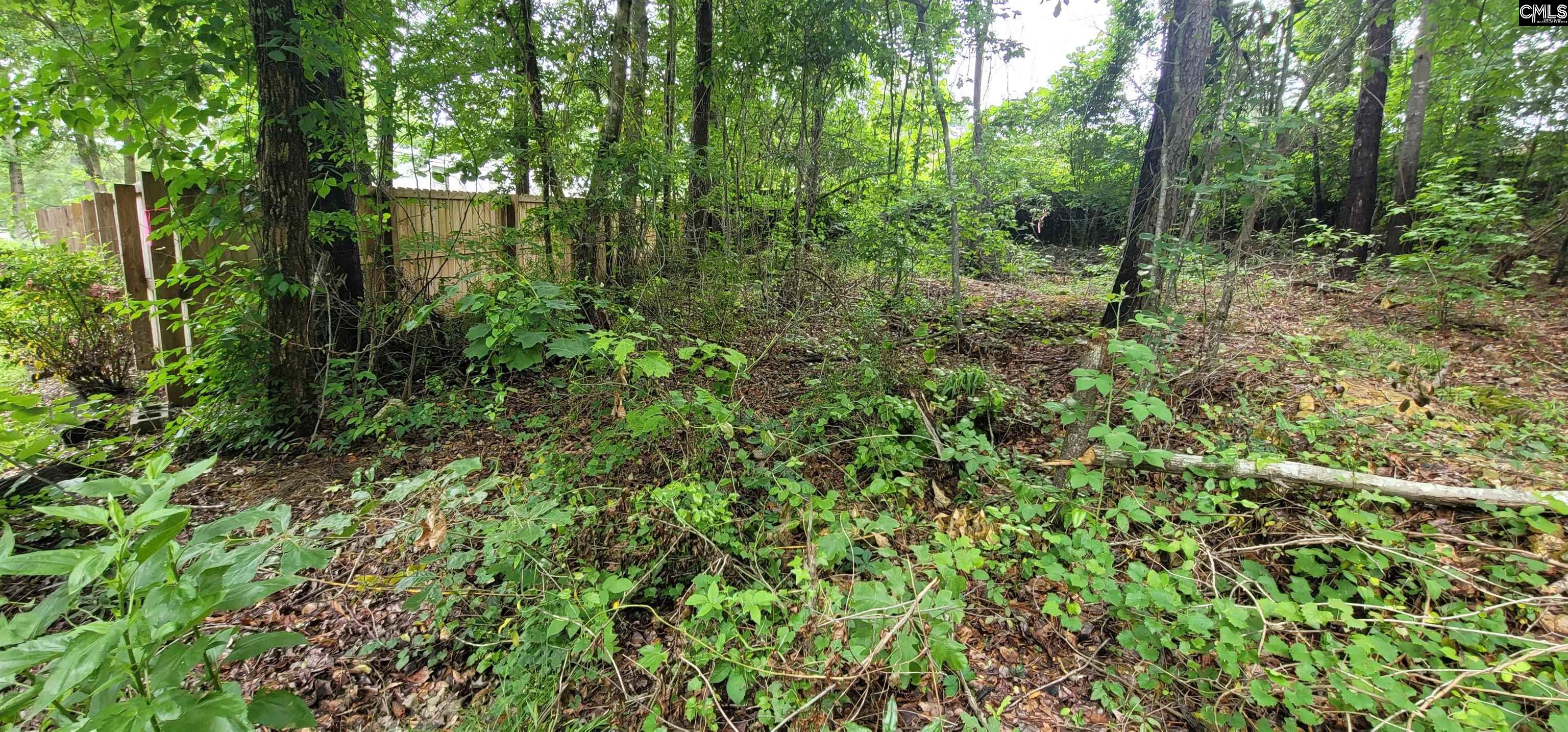 255 Ridge Road, Leesville, South Carolina image 41