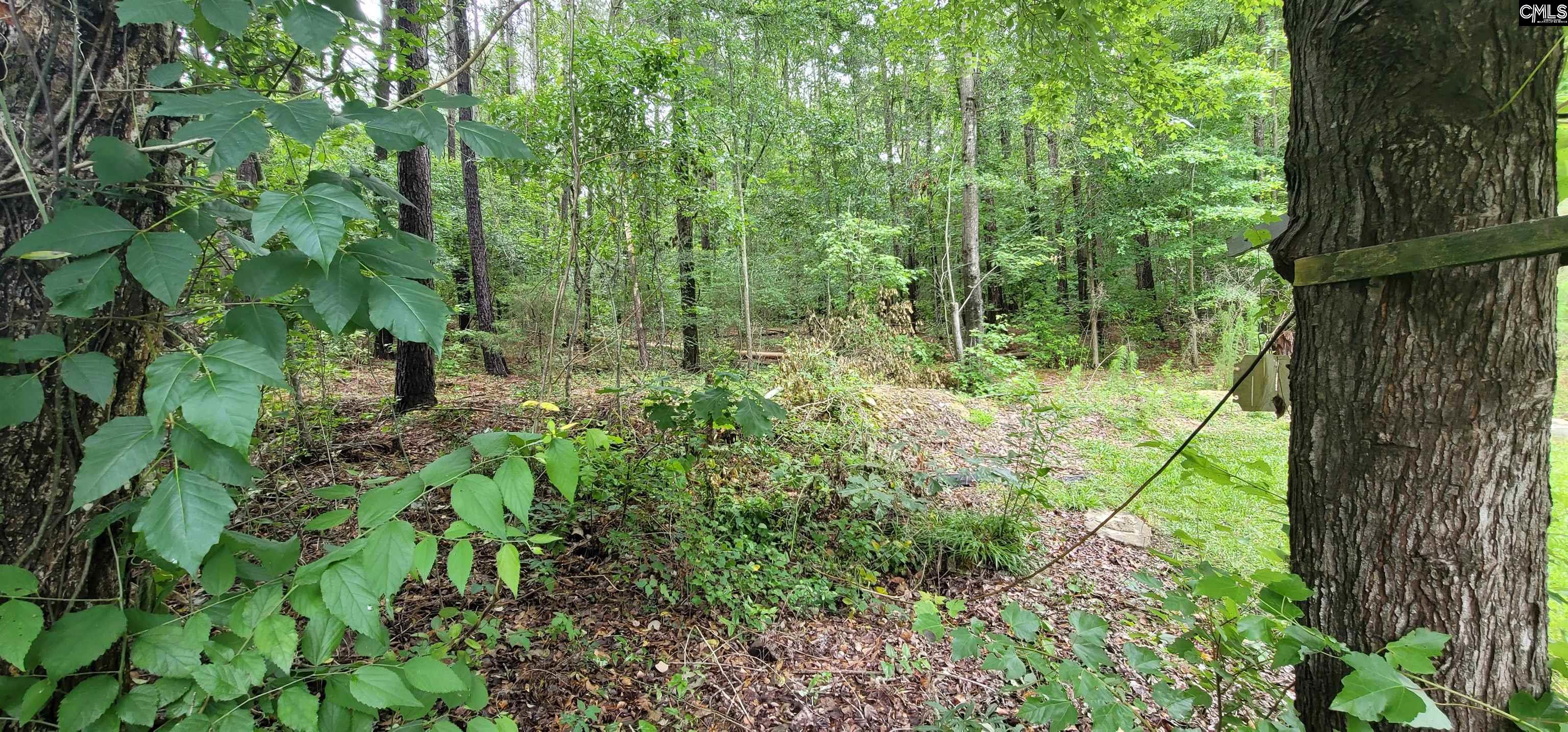 255 Ridge Road, Leesville, South Carolina image 43