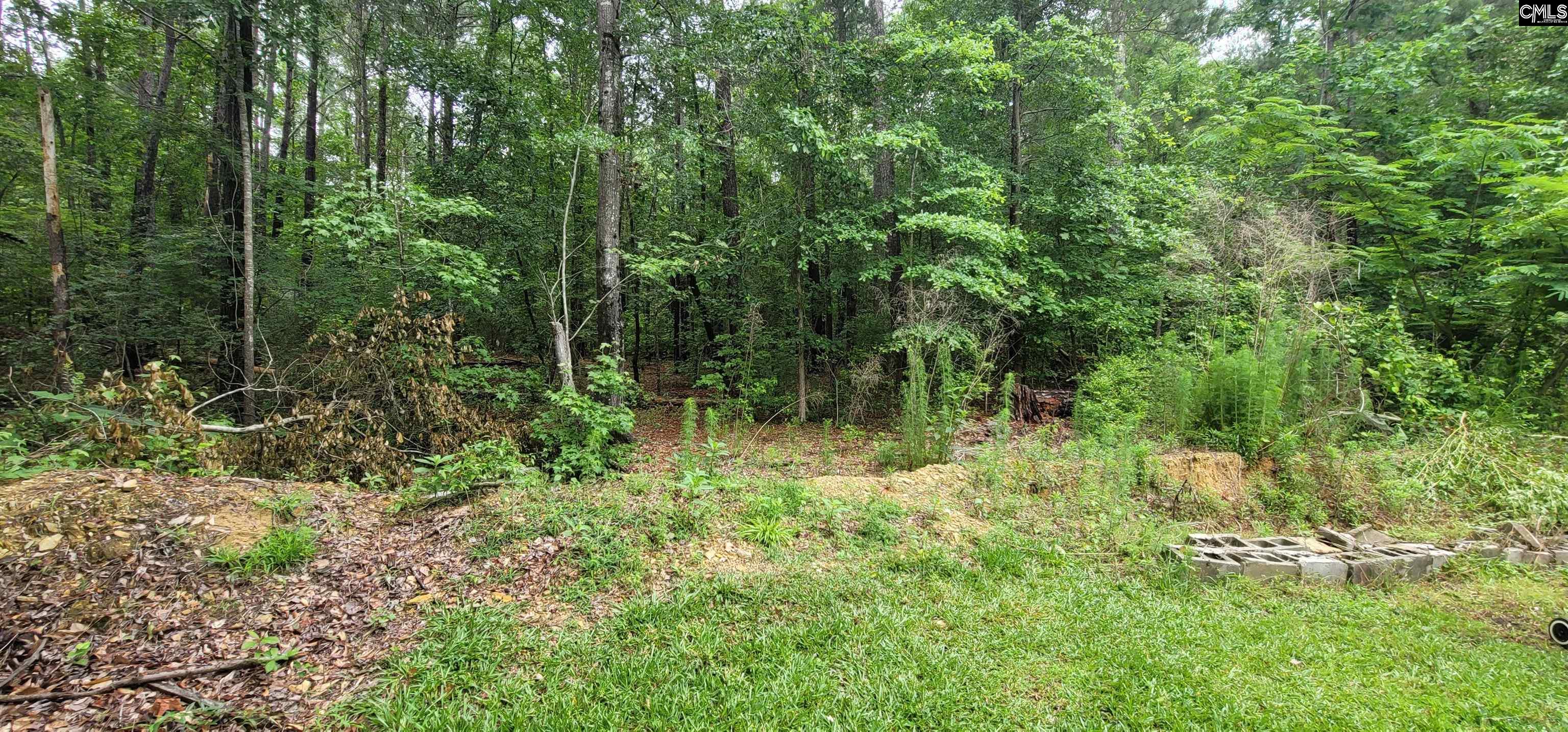 255 Ridge Road, Leesville, South Carolina image 44