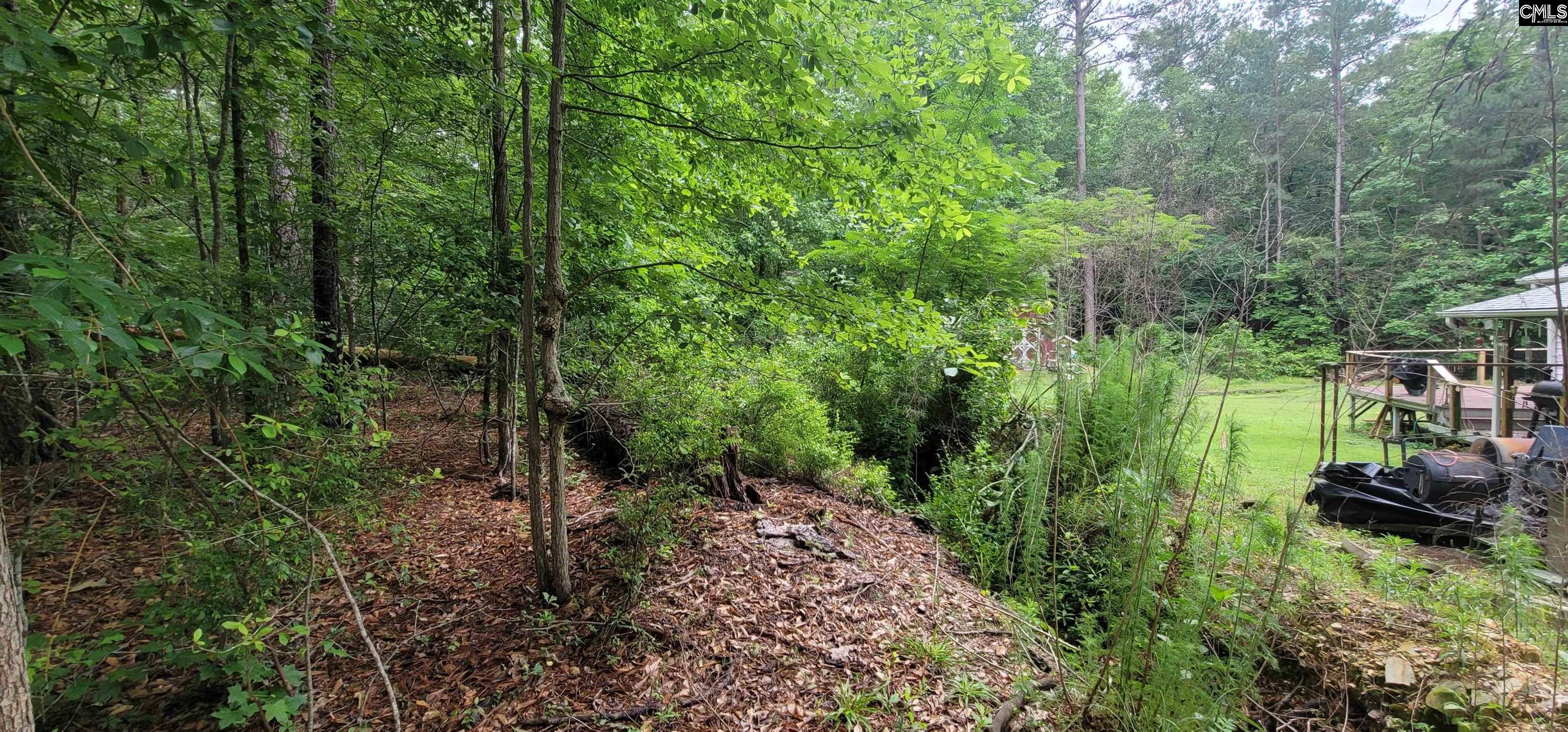 255 Ridge Road, Leesville, South Carolina image 47