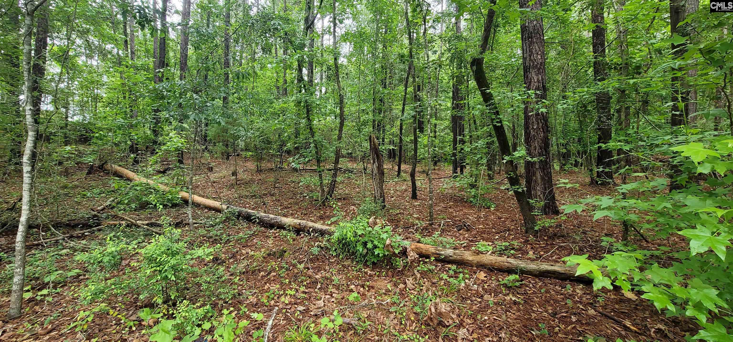 255 Ridge Road, Leesville, South Carolina image 48