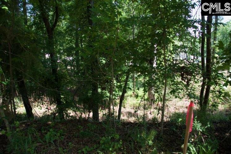 415 Alice Harris Road, Prosperity, South Carolina image 6