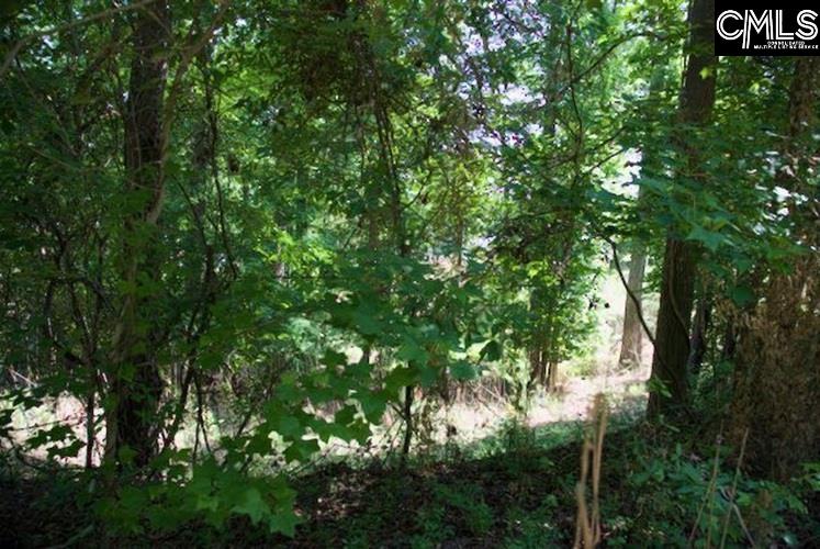 415 Alice Harris Road, Prosperity, South Carolina image 8