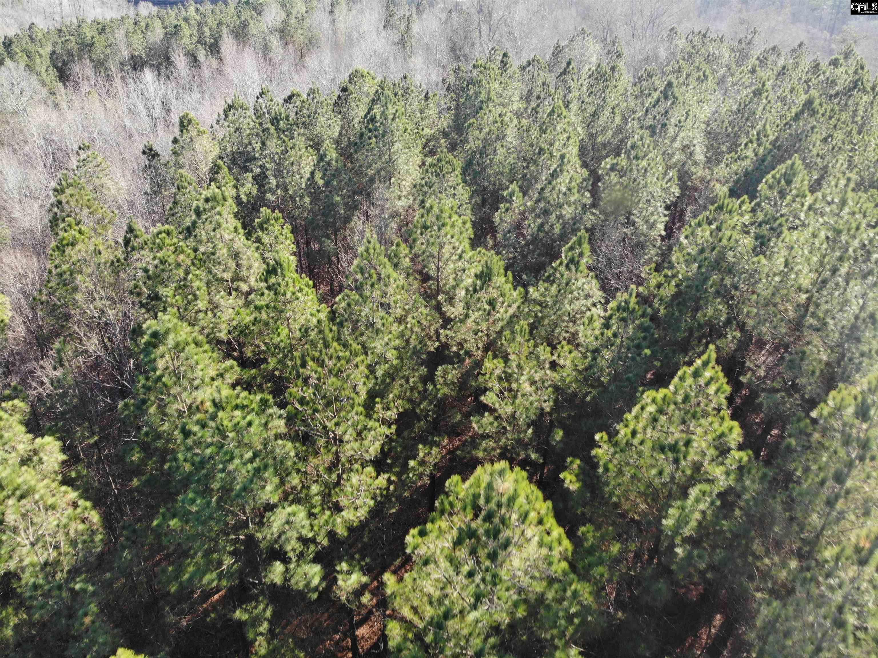Ridgview Lane, Newberry, South Carolina image 10