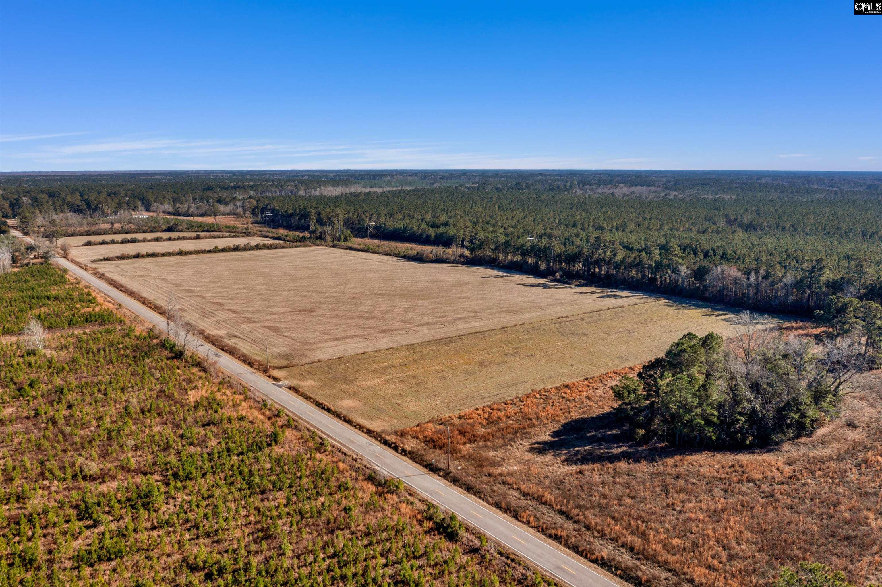 1745 Williams Hill Road #2, Hemingway, South Carolina image 1