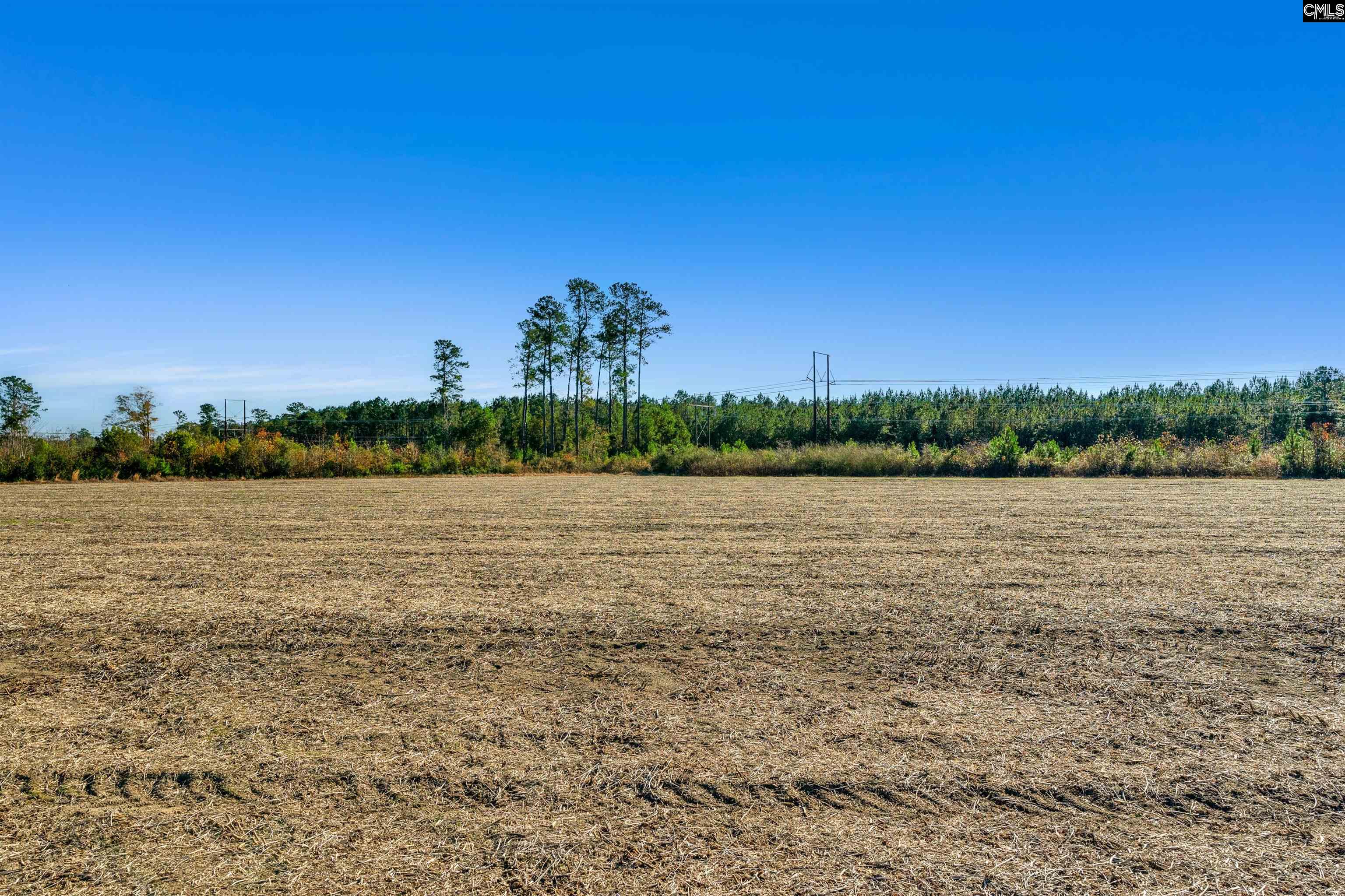 1745 Williams Hill Road #2, Hemingway, South Carolina image 11
