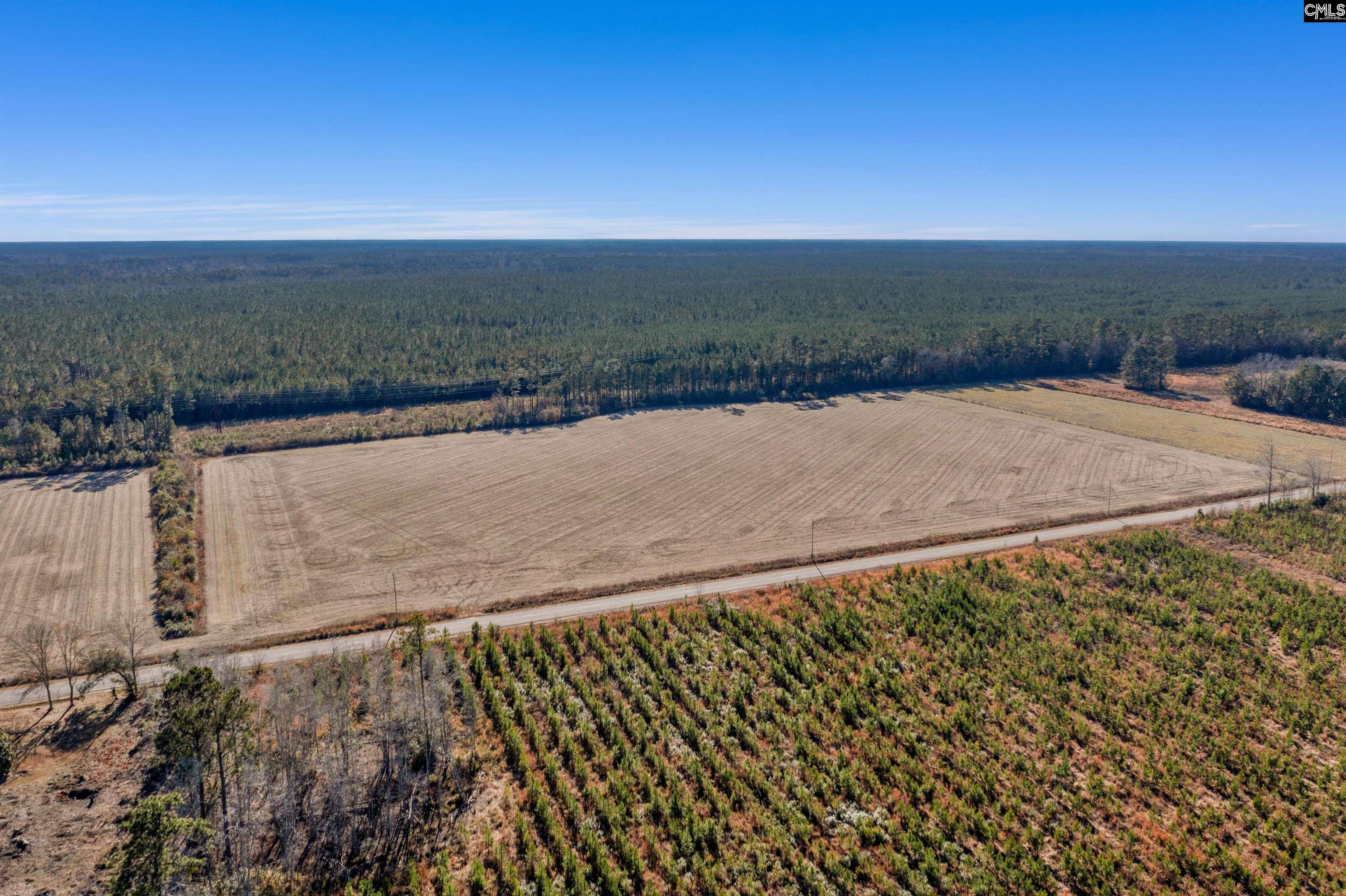 1745 Williams Hill Road #2, Hemingway, South Carolina image 14