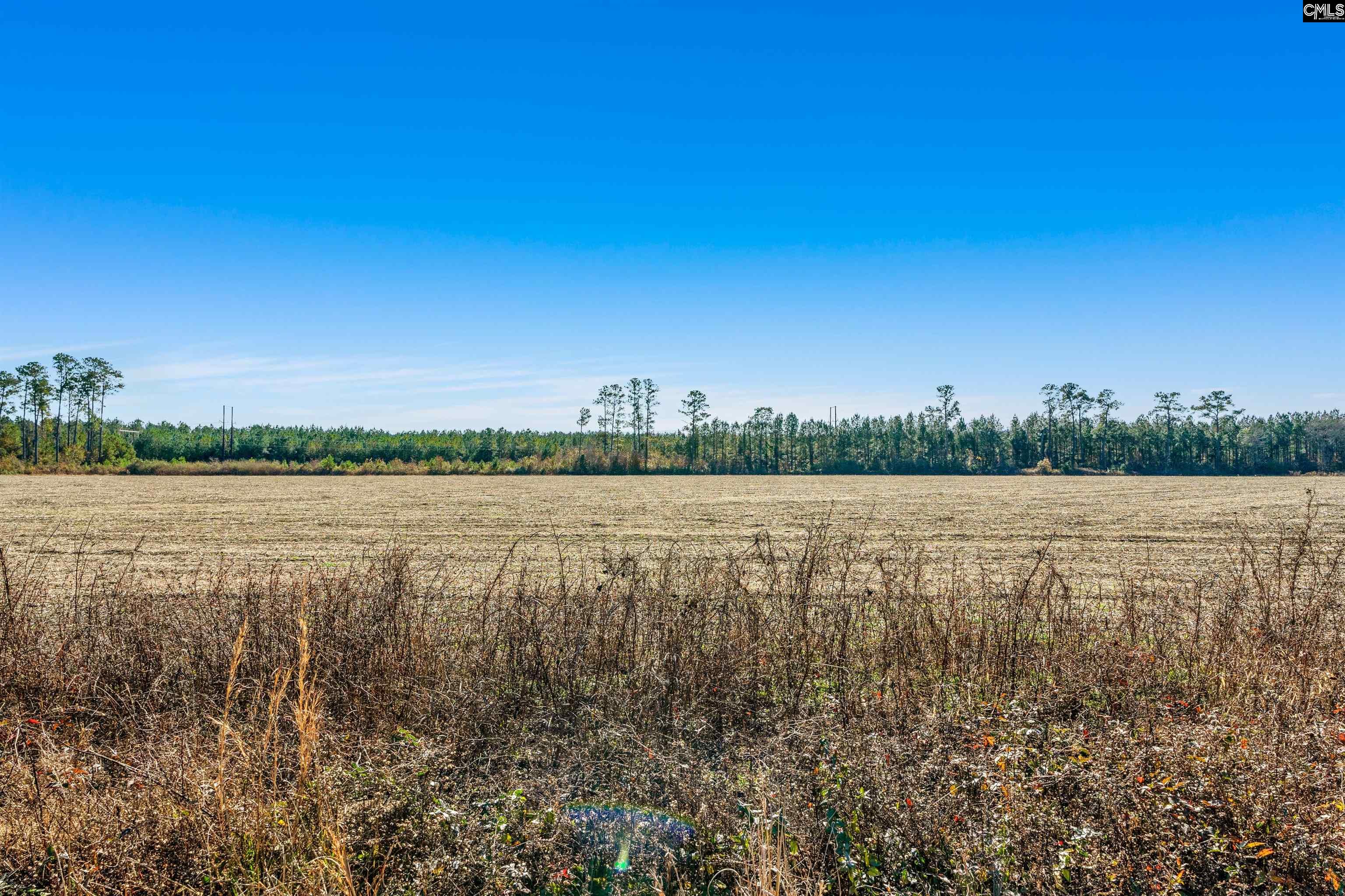 1745 Williams Hill Road #2, Hemingway, South Carolina image 16
