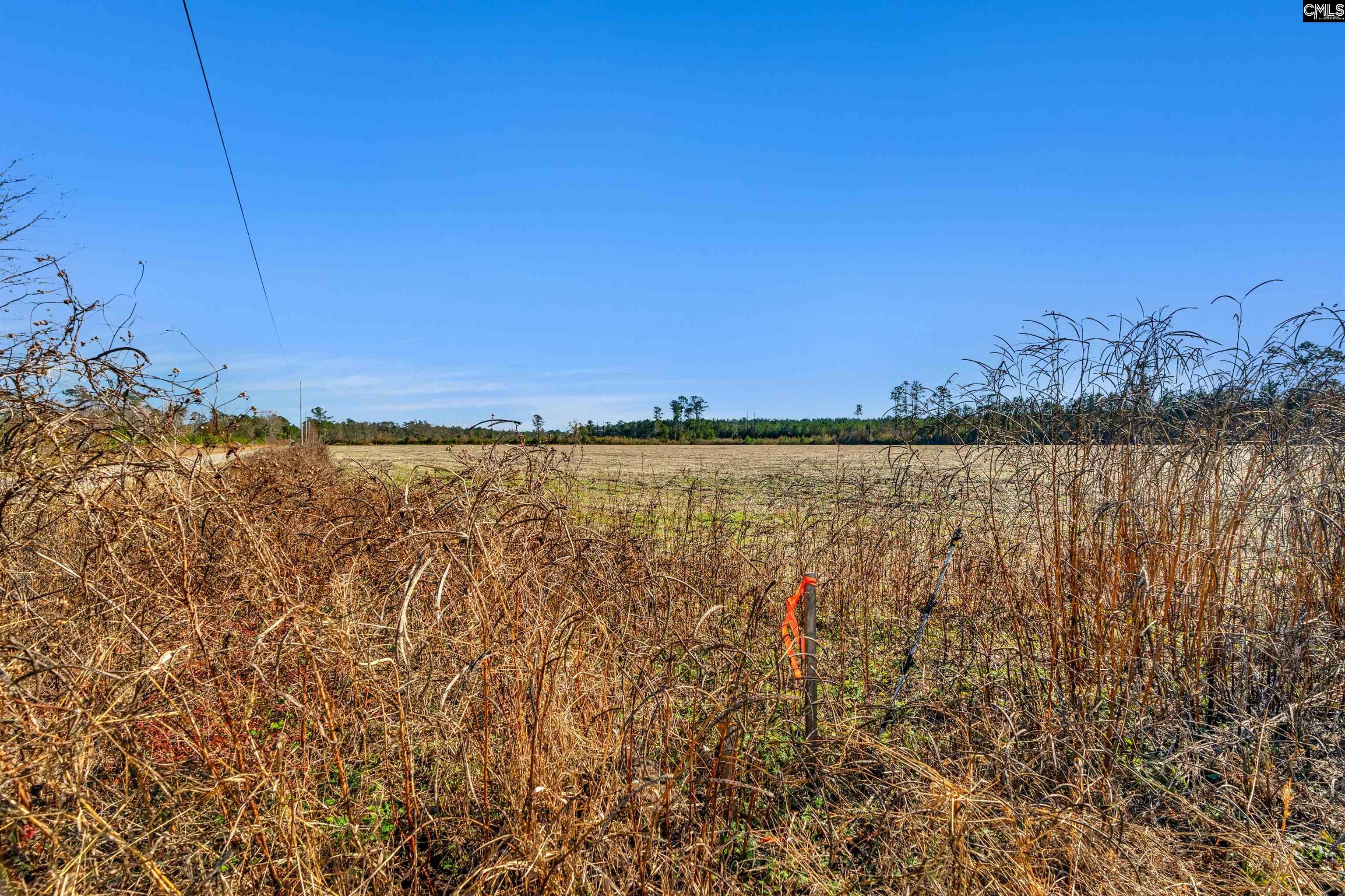 1745 Williams Hill Road #2, Hemingway, South Carolina image 17