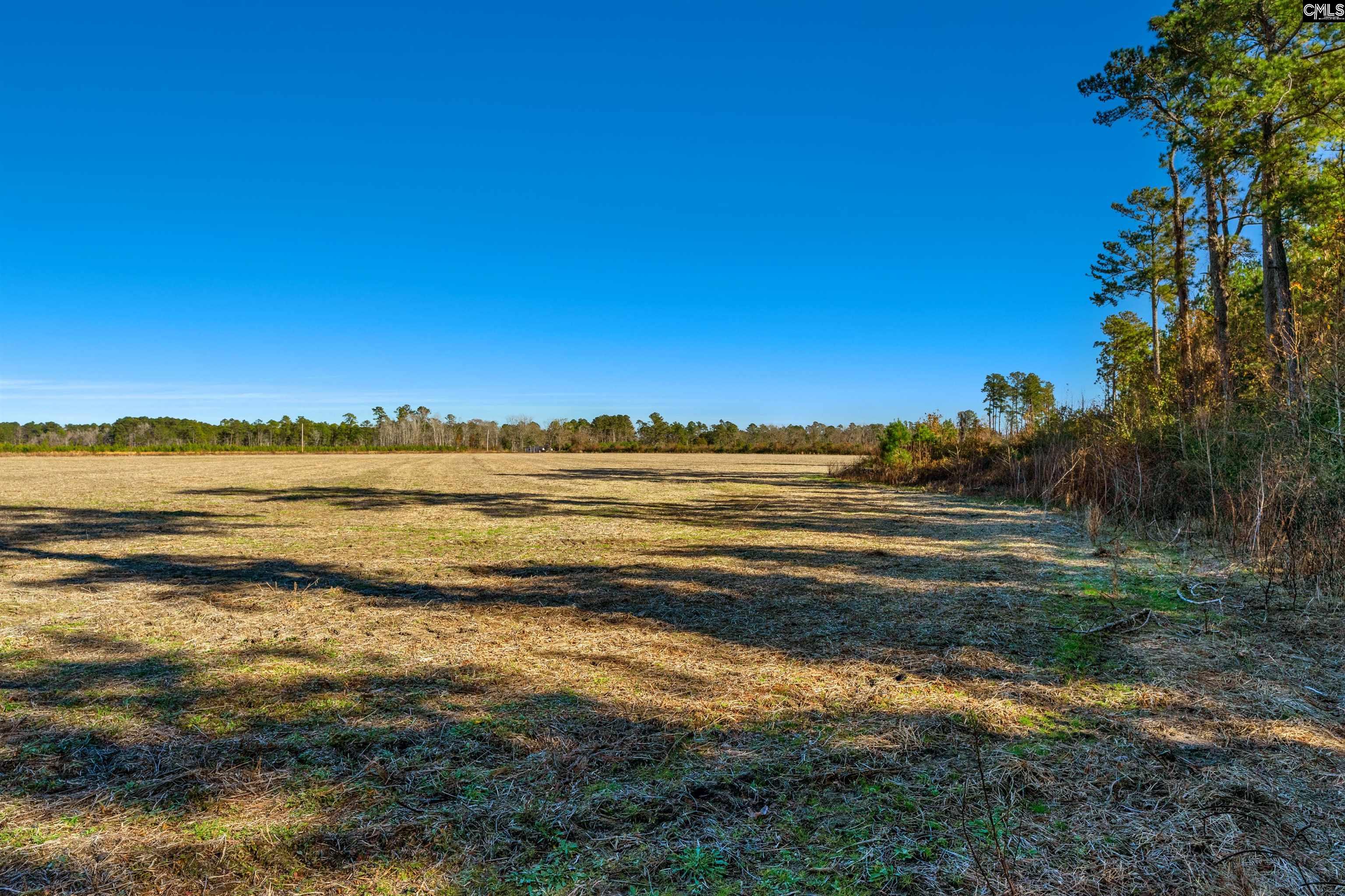 1745 Williams Hill Road #2, Hemingway, South Carolina image 20