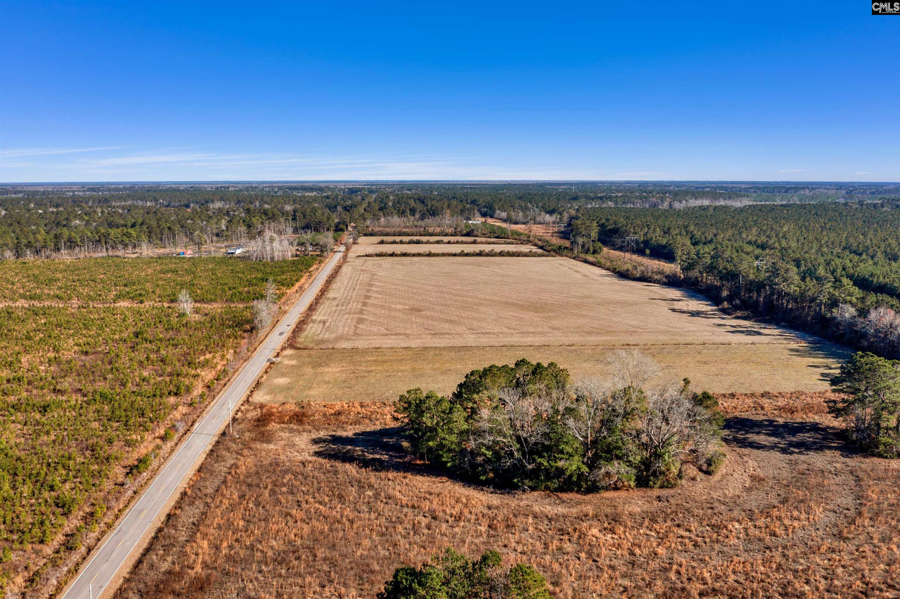 1745 Williams Hill Road #2, Hemingway, South Carolina image 3