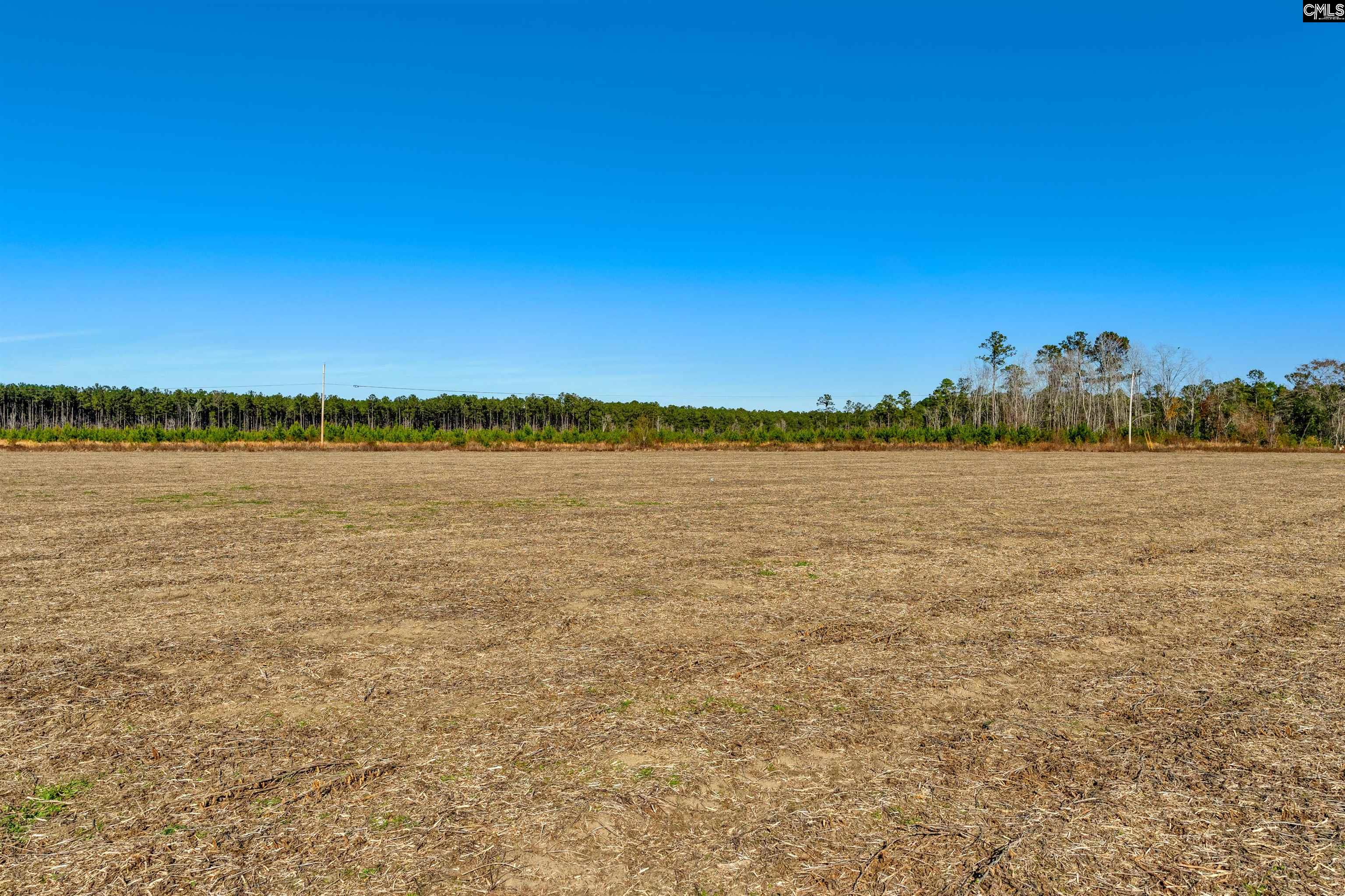 1745 Williams Hill Road #2, Hemingway, South Carolina image 21
