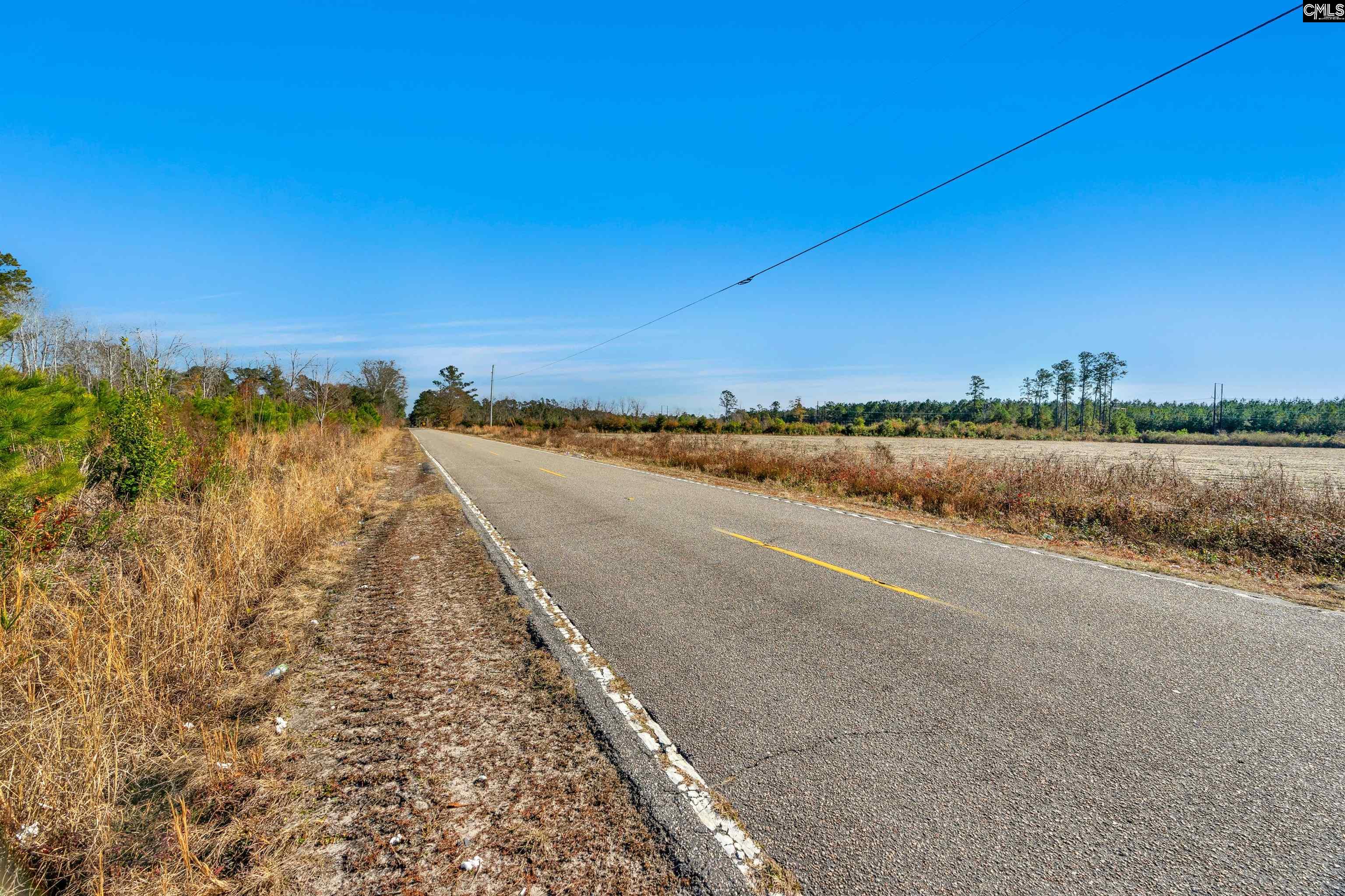 1745 Williams Hill Road #2, Hemingway, South Carolina image 22