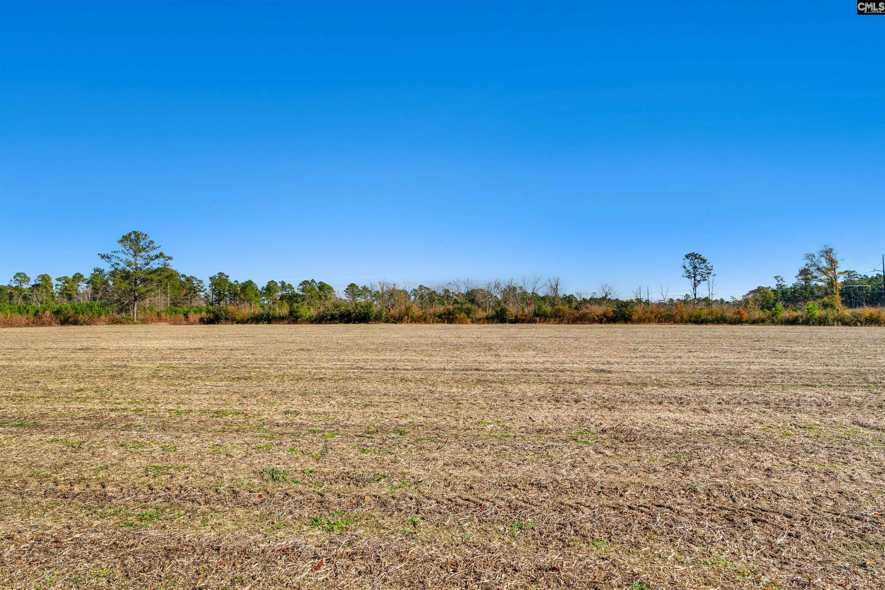 1745 Williams Hill Road #2, Hemingway, South Carolina image 23