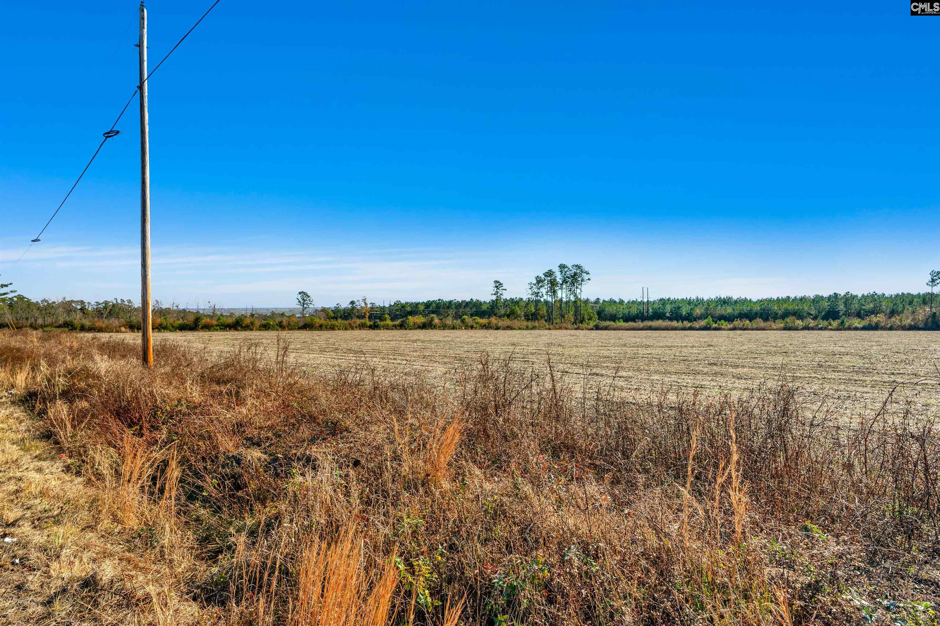 1745 Williams Hill Road #2, Hemingway, South Carolina image 5